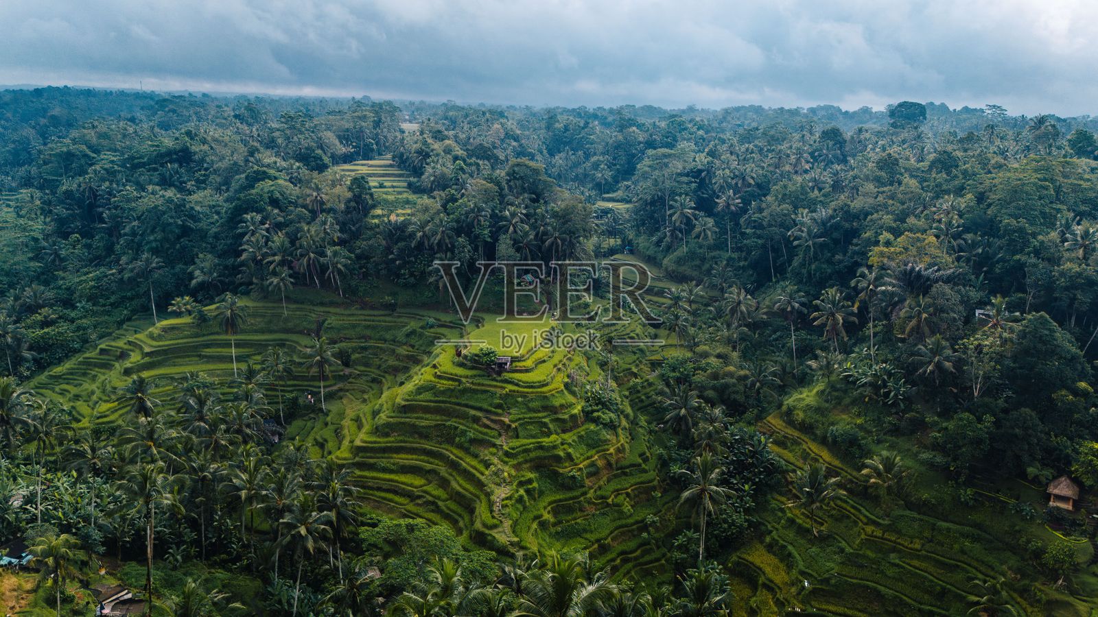 风景如画的山脉被郁郁葱葱的绿树环绕照片摄影图片
