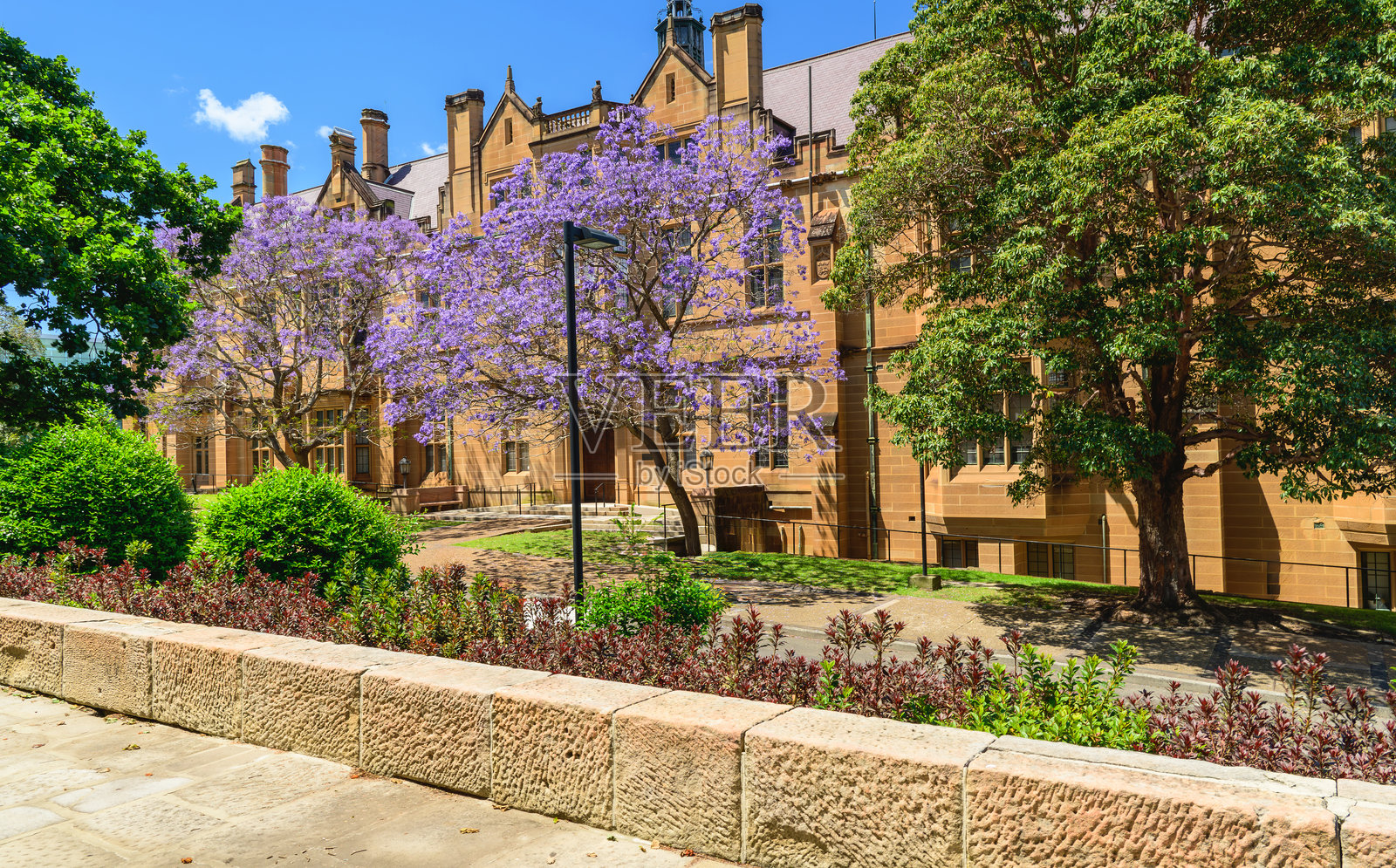 悉尼大学是位于澳大利亚悉尼的一所公立研究型大学。照片摄影图片