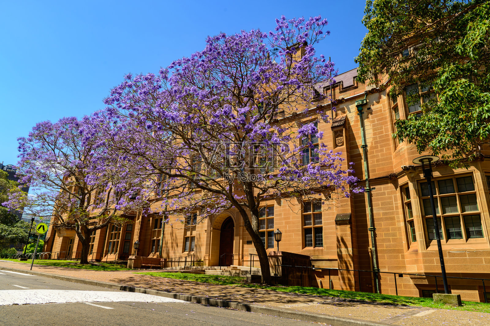 悉尼大学是澳大利亚悉尼的一所公立研究大学。照片摄影图片