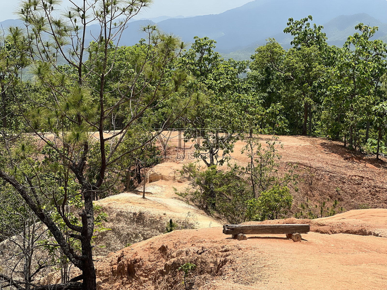 自然小径的风景视图照片摄影图片