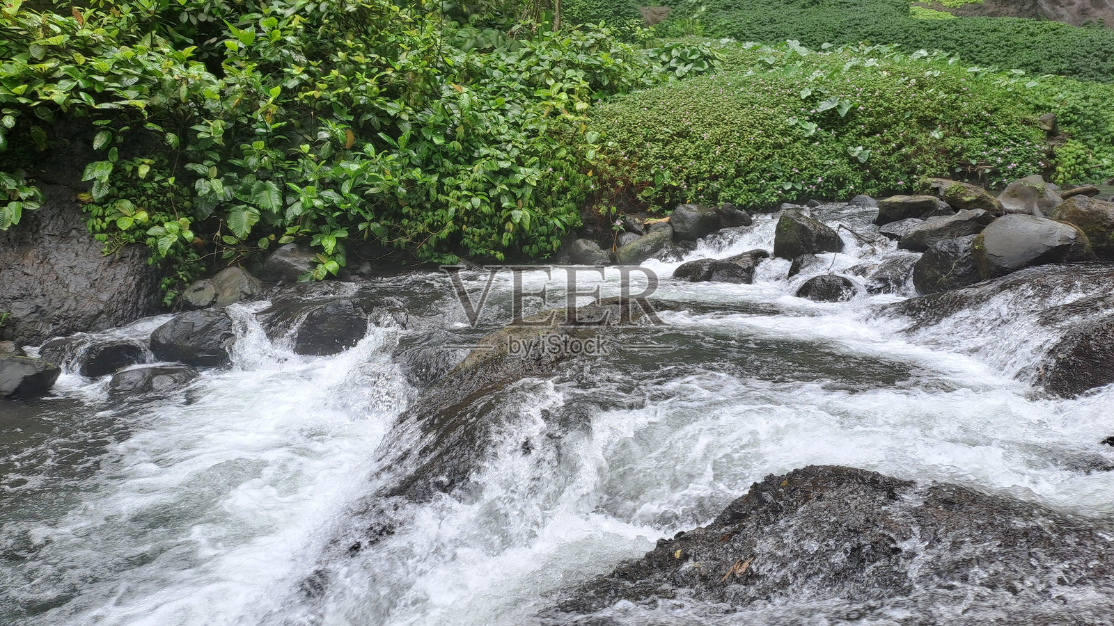 美丽的水从瀑布流过岩石照片摄影图片