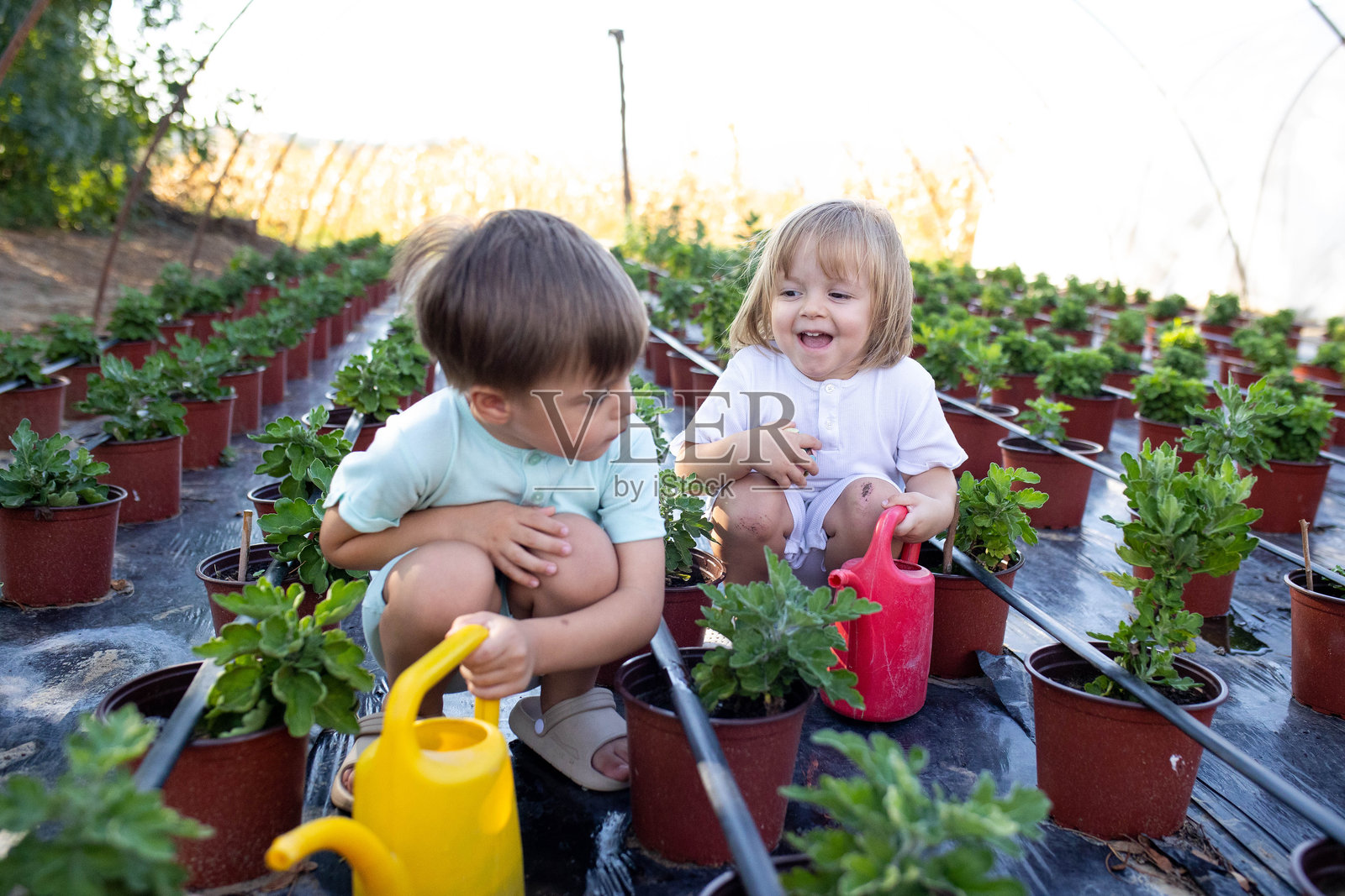 兄妹在奶奶的花园里照顾花朵照片摄影图片