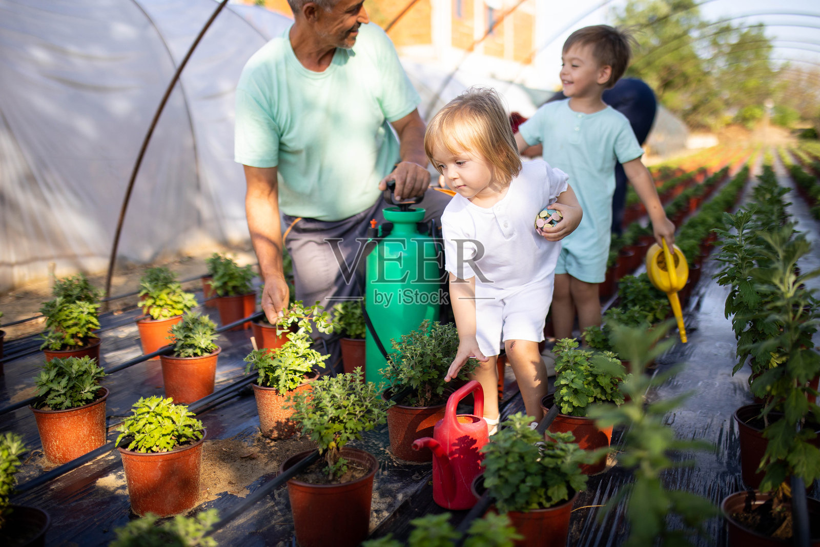 孩子们在花卉种植园陪伴祖父，学习关于自然和花卉的知识。照片摄影图片