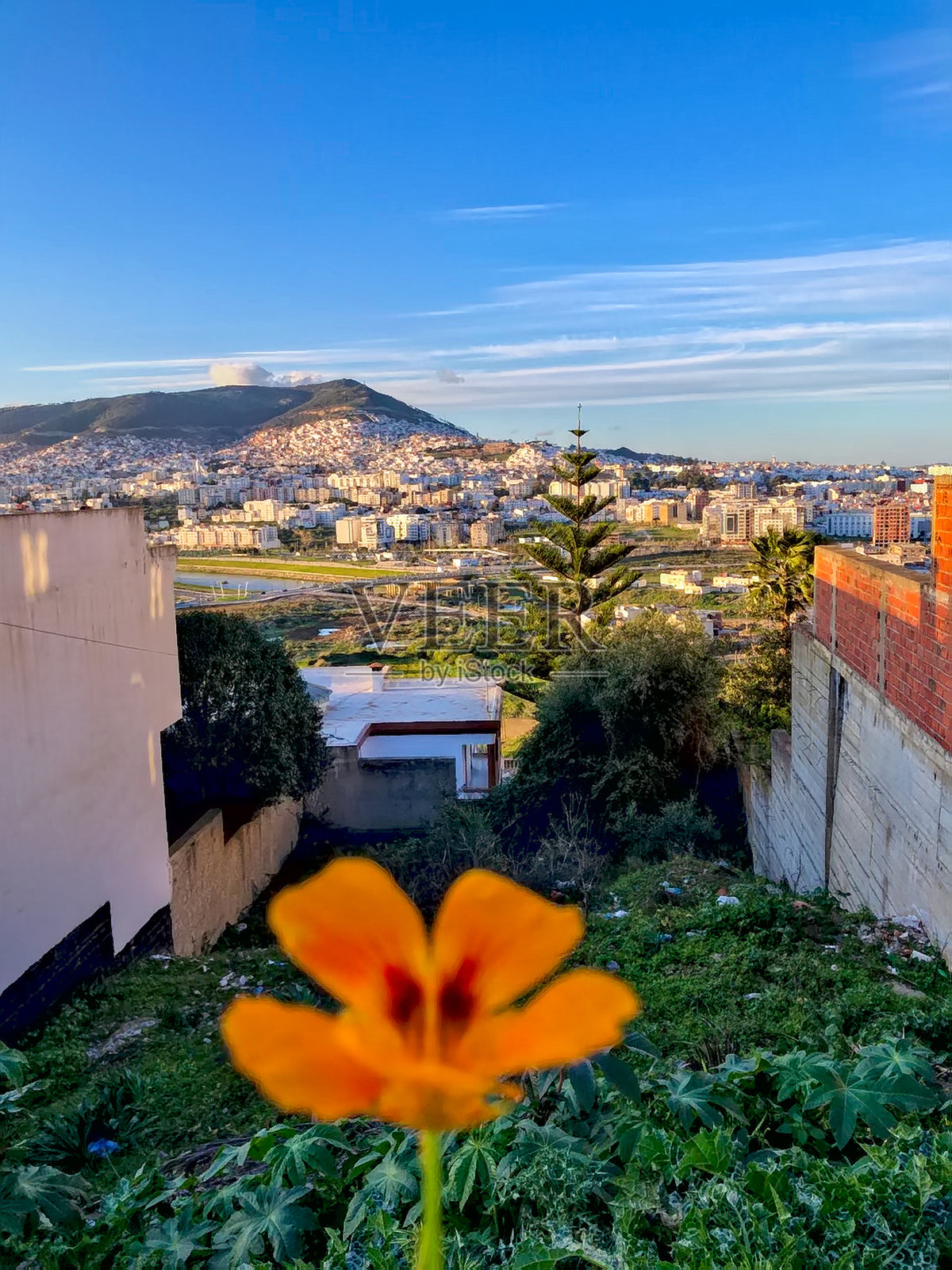 城市早晨的风景，自然与城市生活的和谐交融生动展现。照片摄影图片