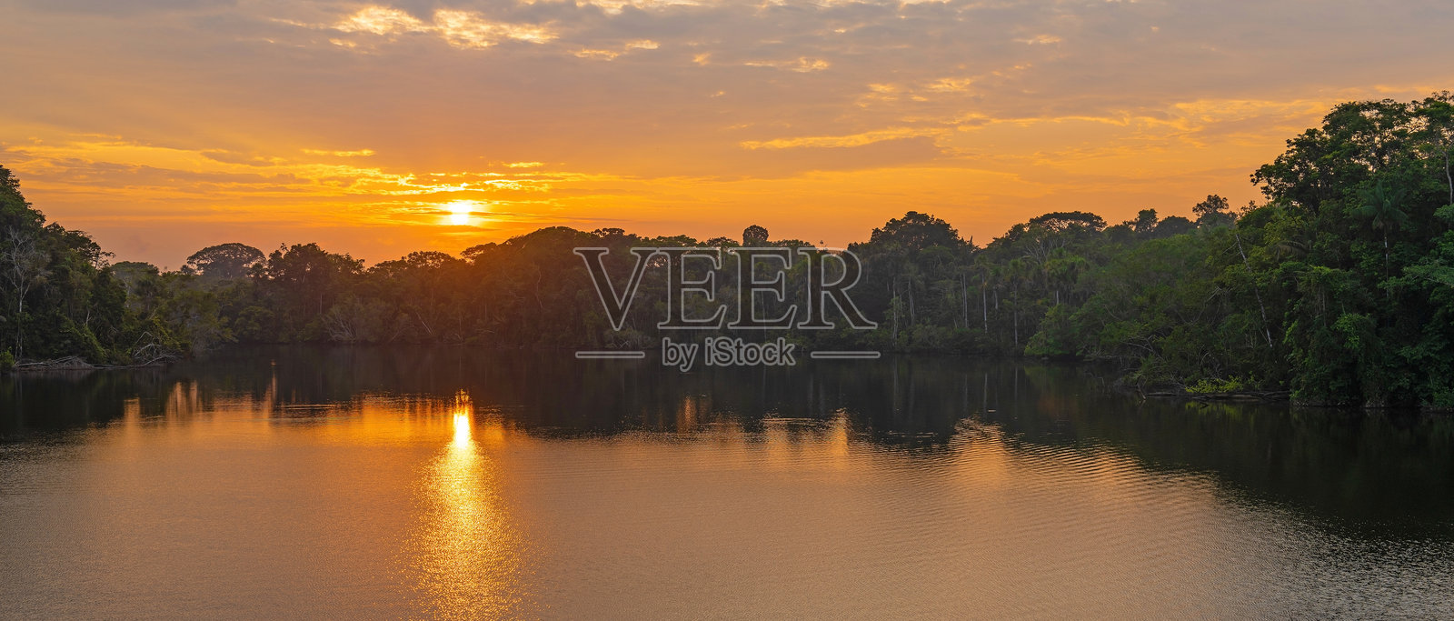 亚马逊河森林日出全景照片摄影图片