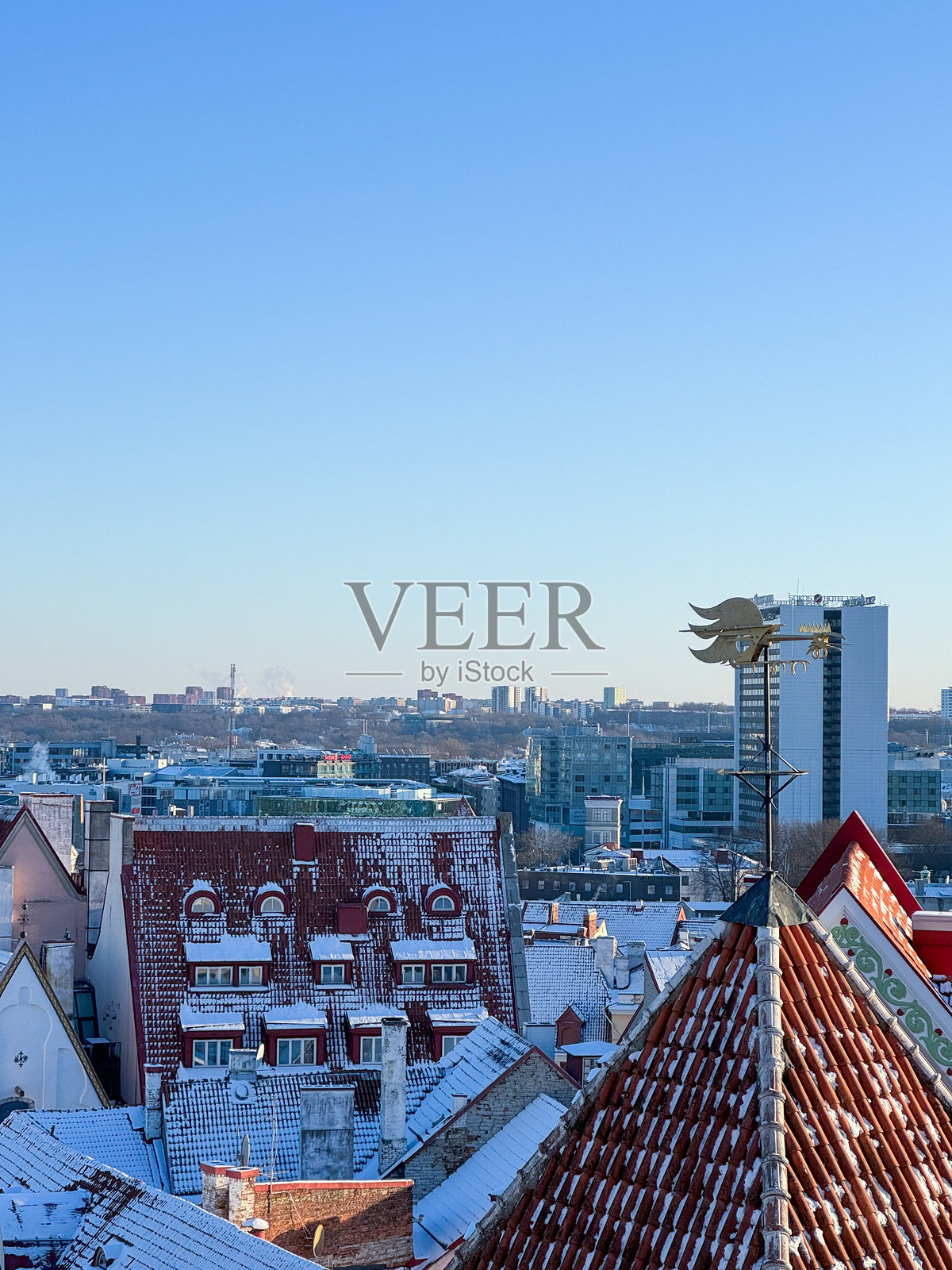 被雪覆盖的塔林照片摄影图片