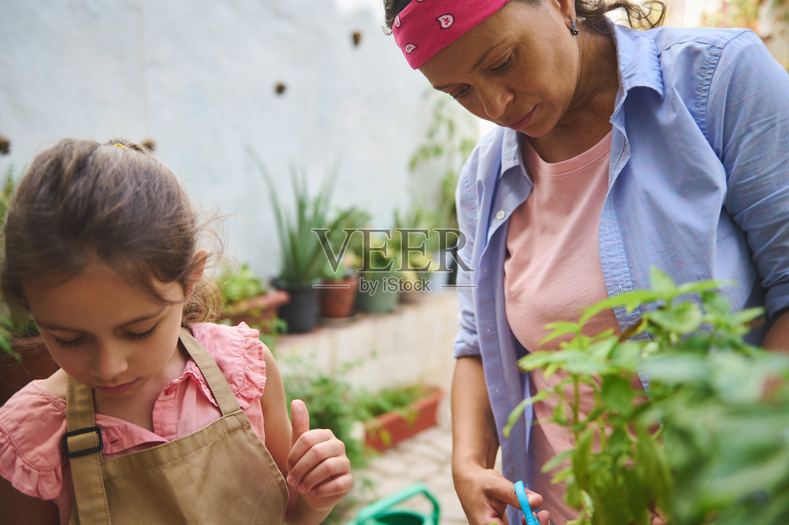 母女在充满生机的家庭花园中一起园艺照片摄影图片