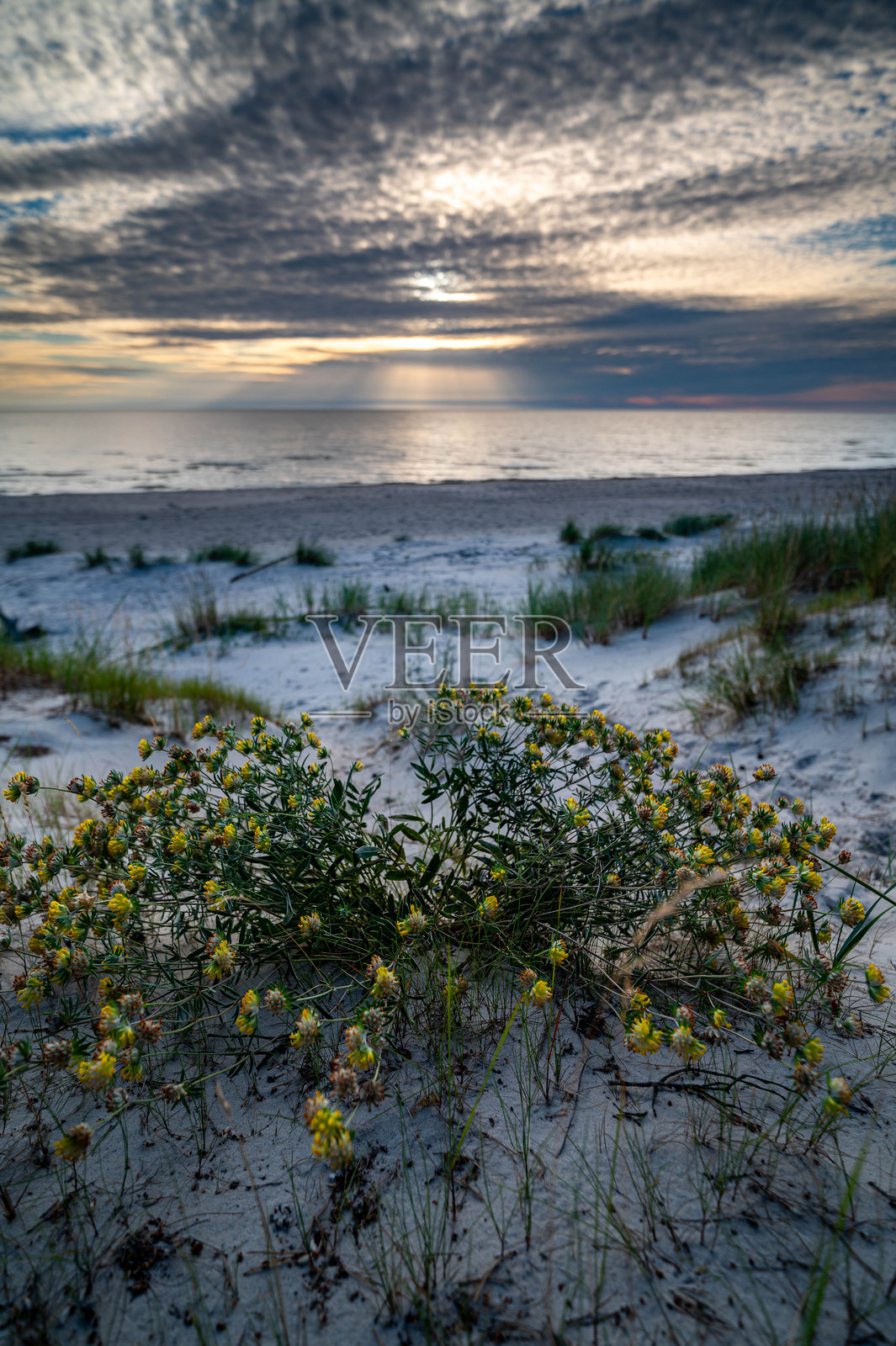 拉脱维亚海岸线的日落照片摄影图片