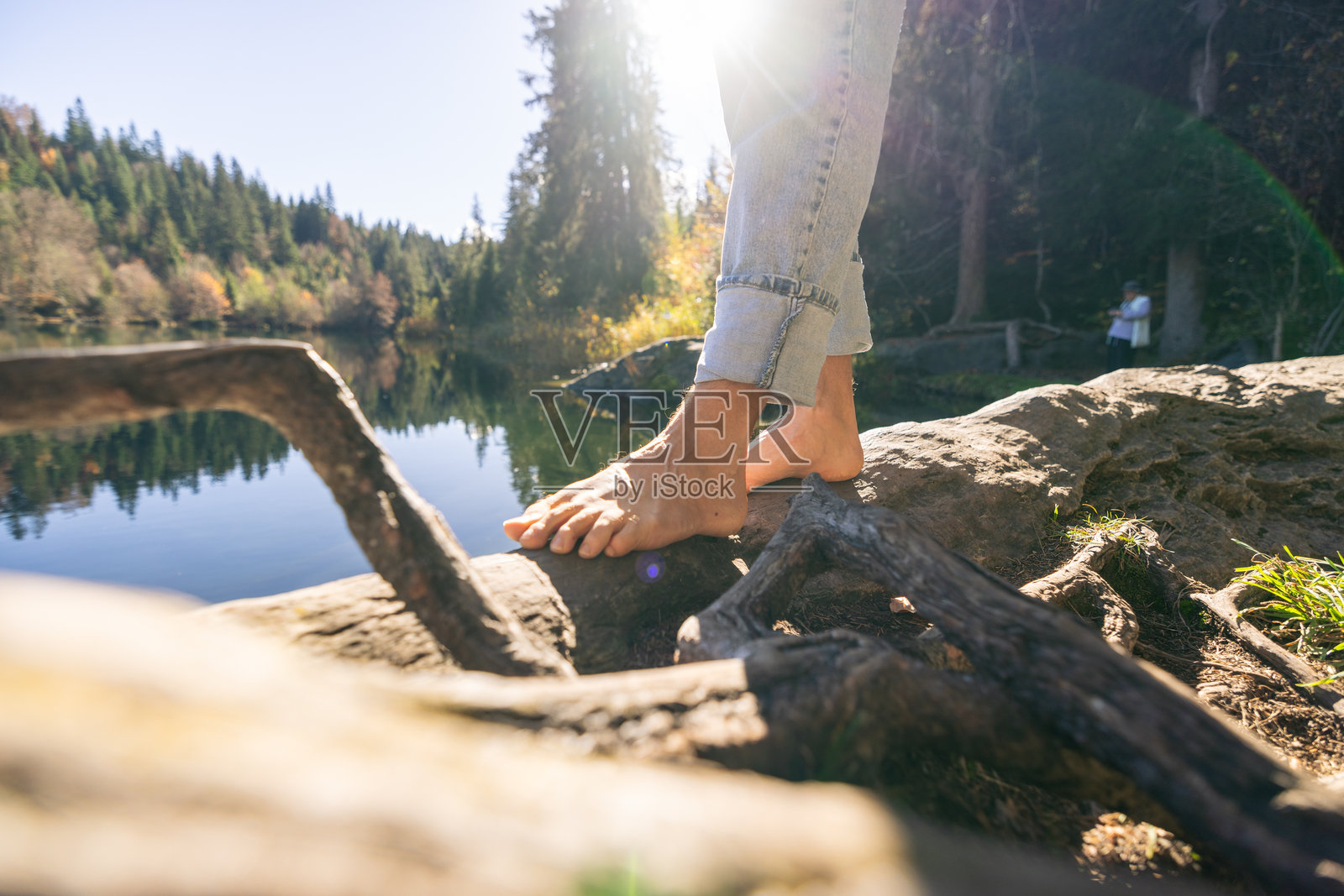 赤脚 resting on 树根旁的湖边照片摄影图片