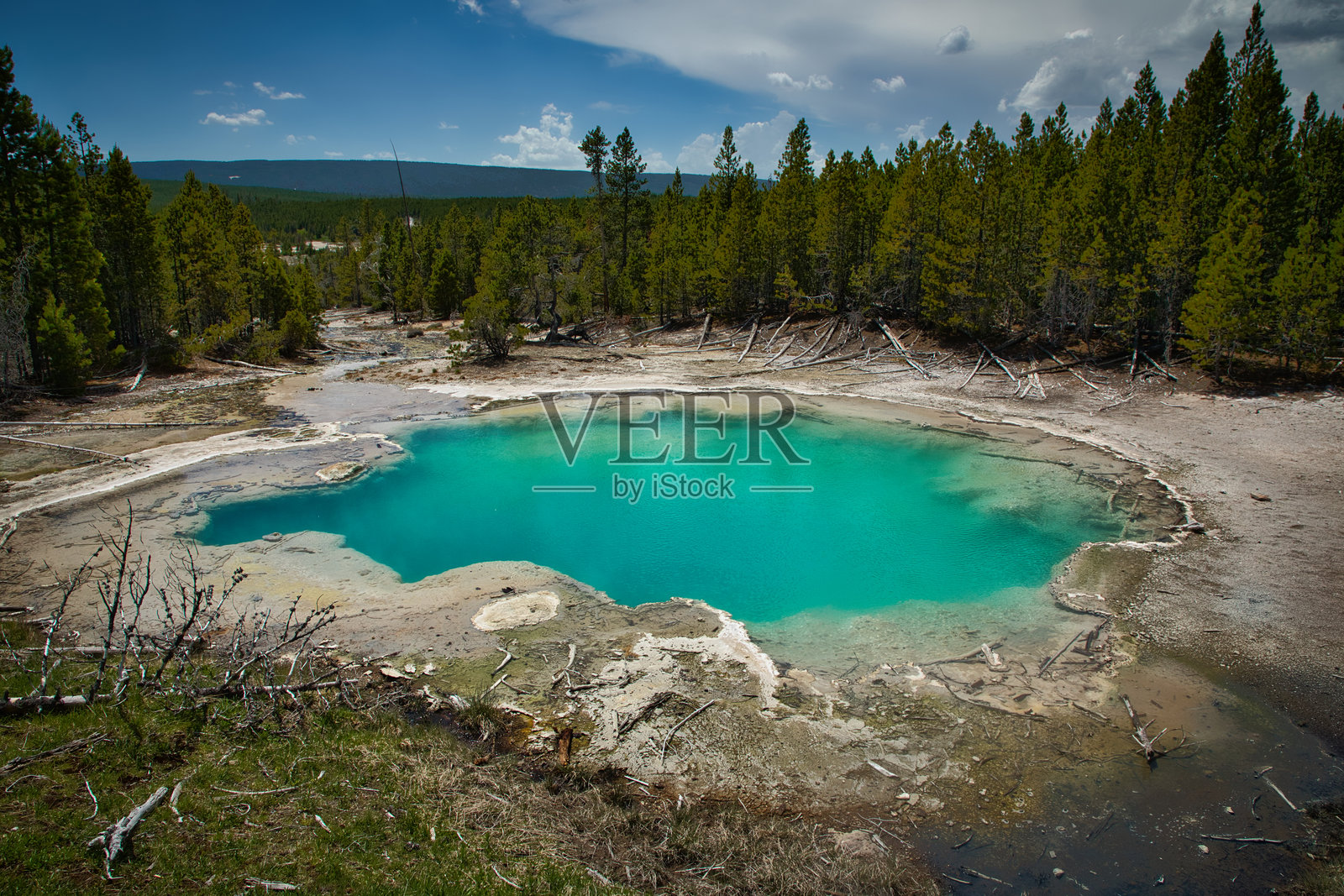 黄石国家公园五彩斑斓的诺里斯间歇泉盆地，风景如画。气味、色彩和声音构成了一种自然体验。照片摄影图片