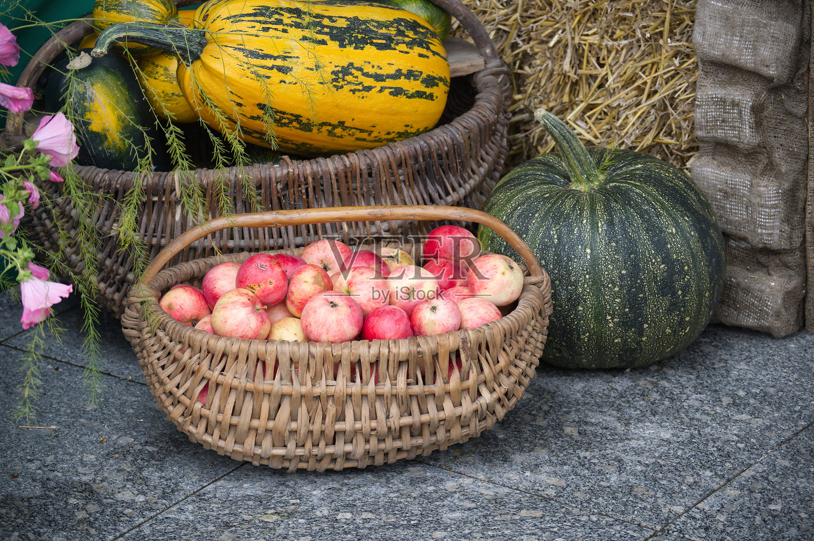 装满苹果和南瓜的收获篮照片摄影图片