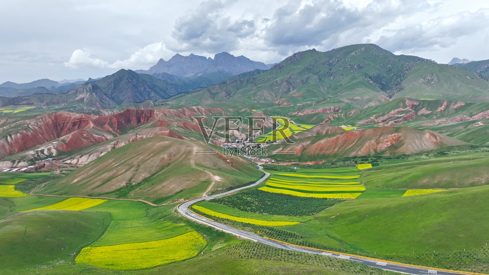 油菜花田，卓尔山，八宝镇，祁连县，海北，青海省，中国，亚洲。祁连山。照片摄影图片