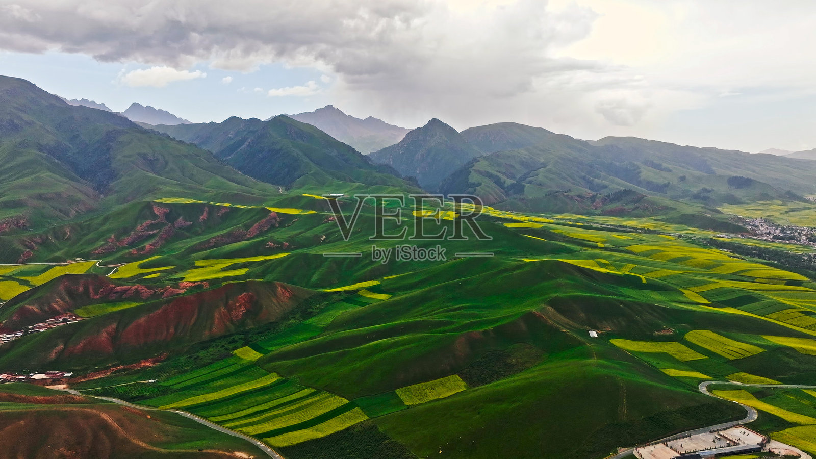 油菜花田，卓尔山，八宝镇，祁连县，海北，青海省，中国，亚洲。祁连山。照片摄影图片