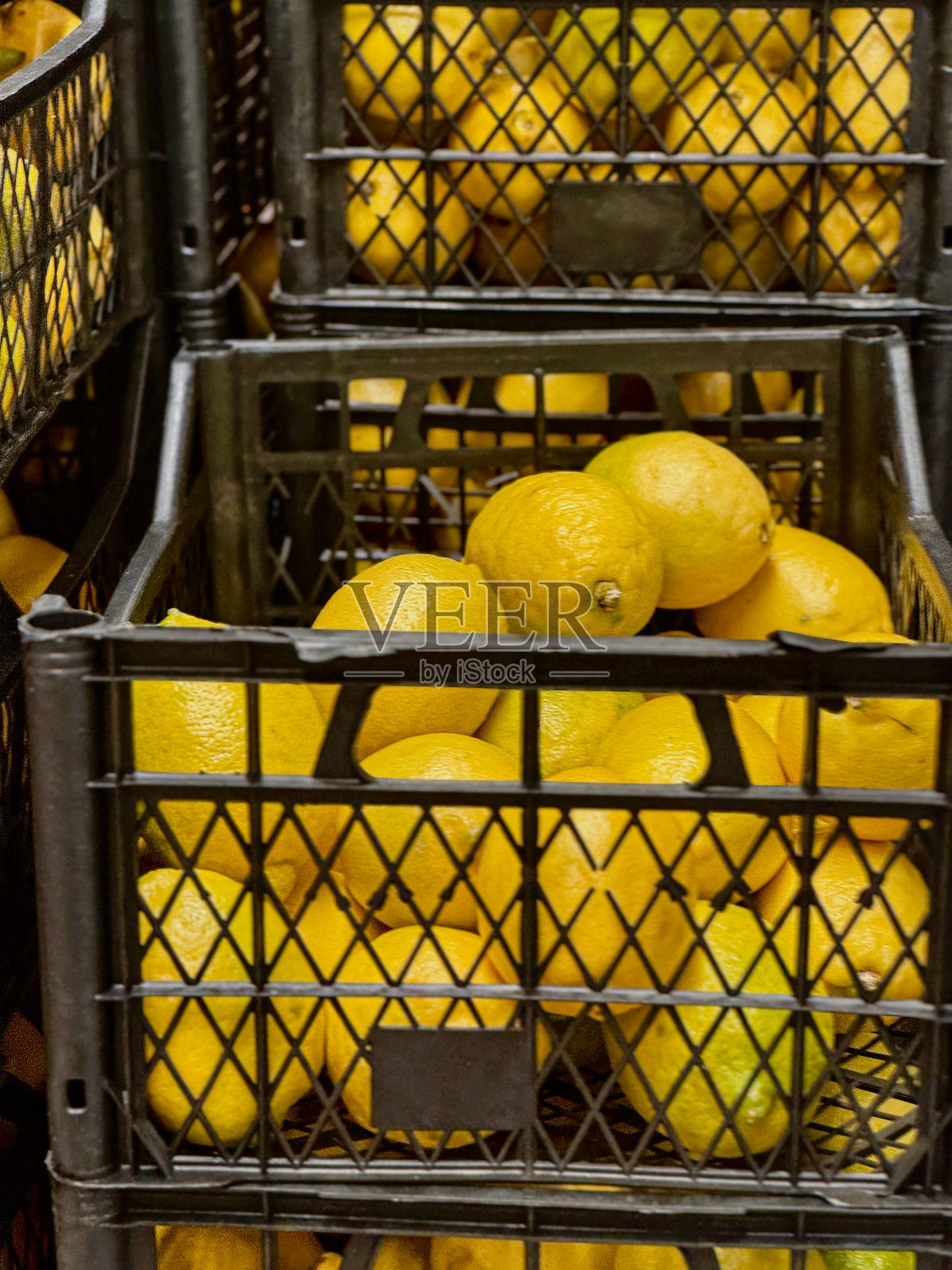 塑料箱中的柠檬展示照片摄影图片