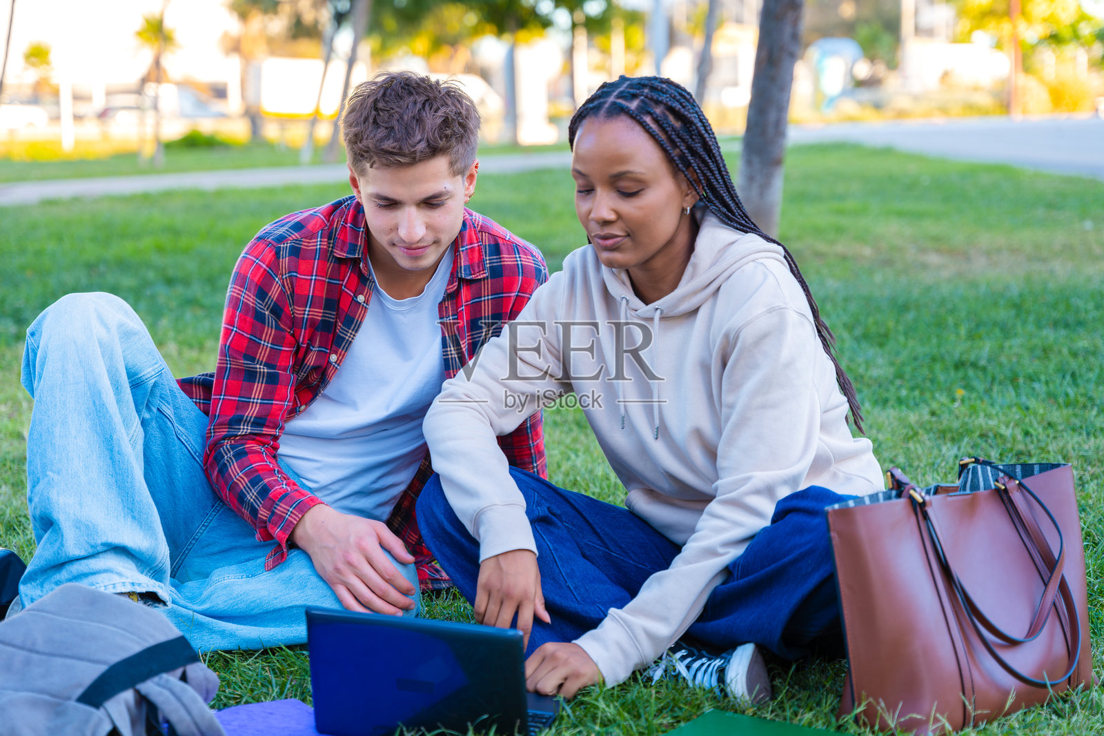 年轻情侣在户外草地上一起使用笔记本电脑照片摄影图片