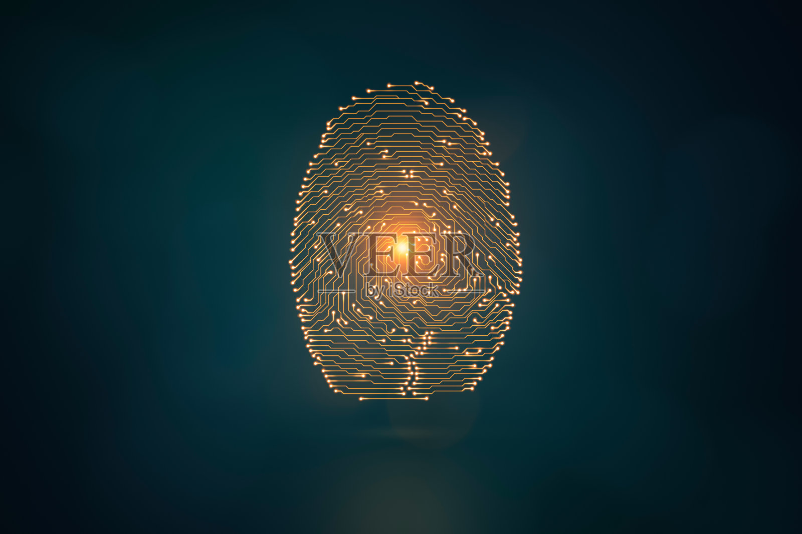 数字安全概念与个人身份指纹照片摄影图片