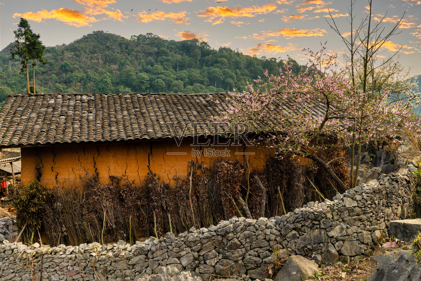 越南北部山区的哈江春季风光照片摄影图片