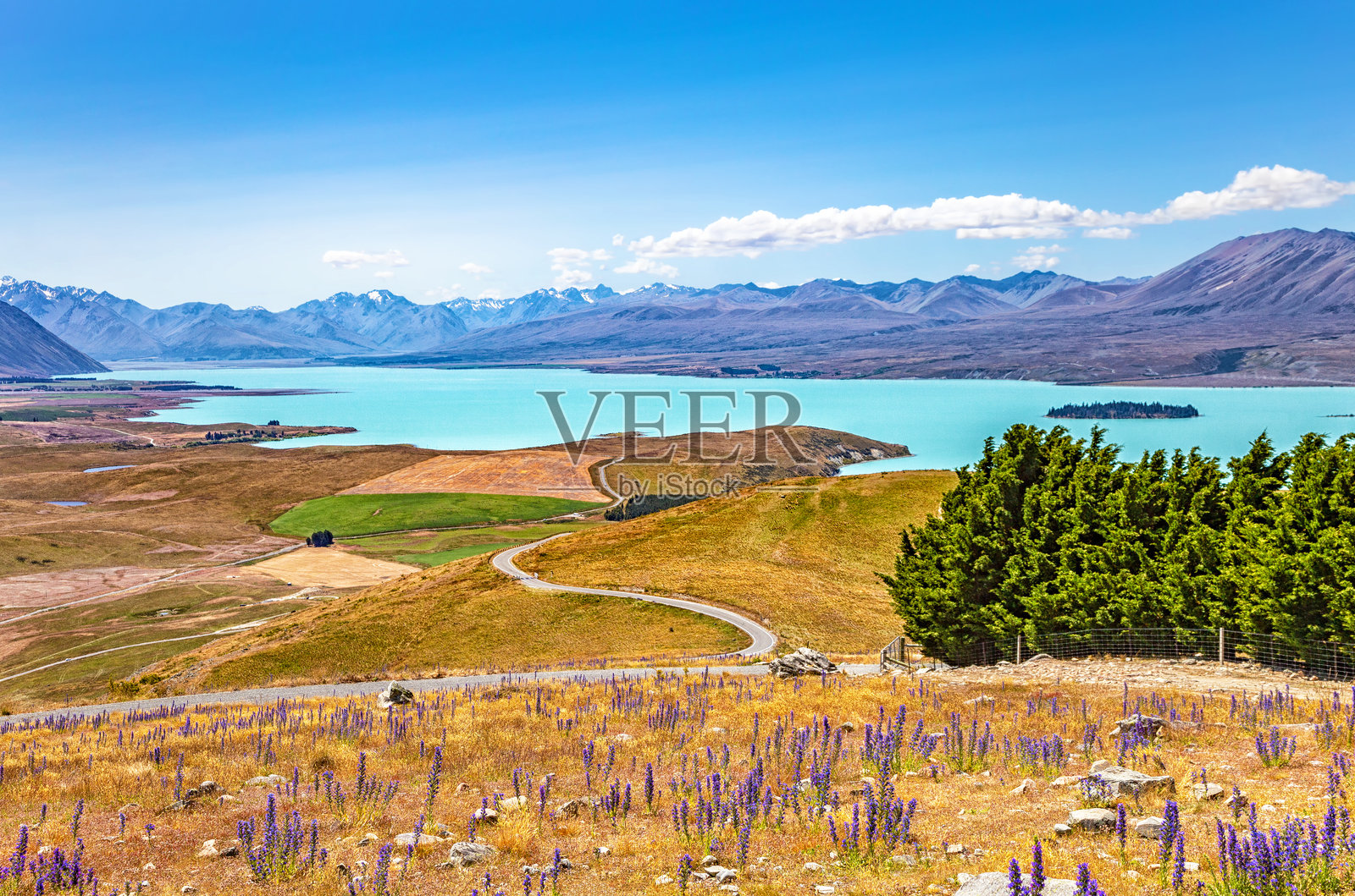 新西兰南岛坎特伯雷的特卡波湖， 大洋洲。照片摄影图片