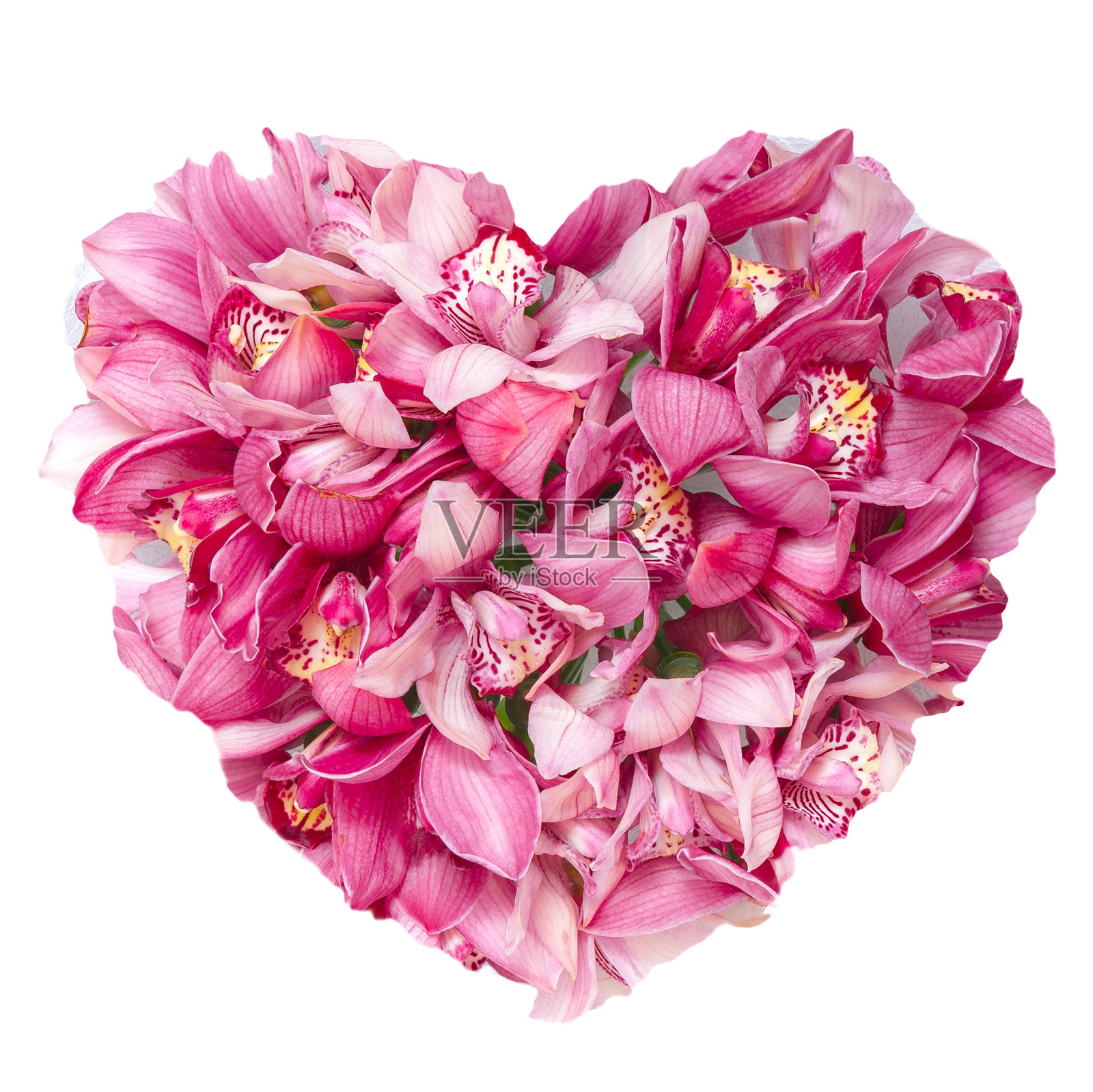 孤立的夏季花卉心形花卉拼贴概念照片摄影图片