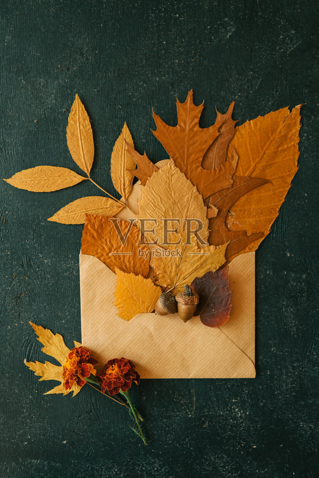 装有秋天落叶的信封，秋天的氛围照片摄影图片