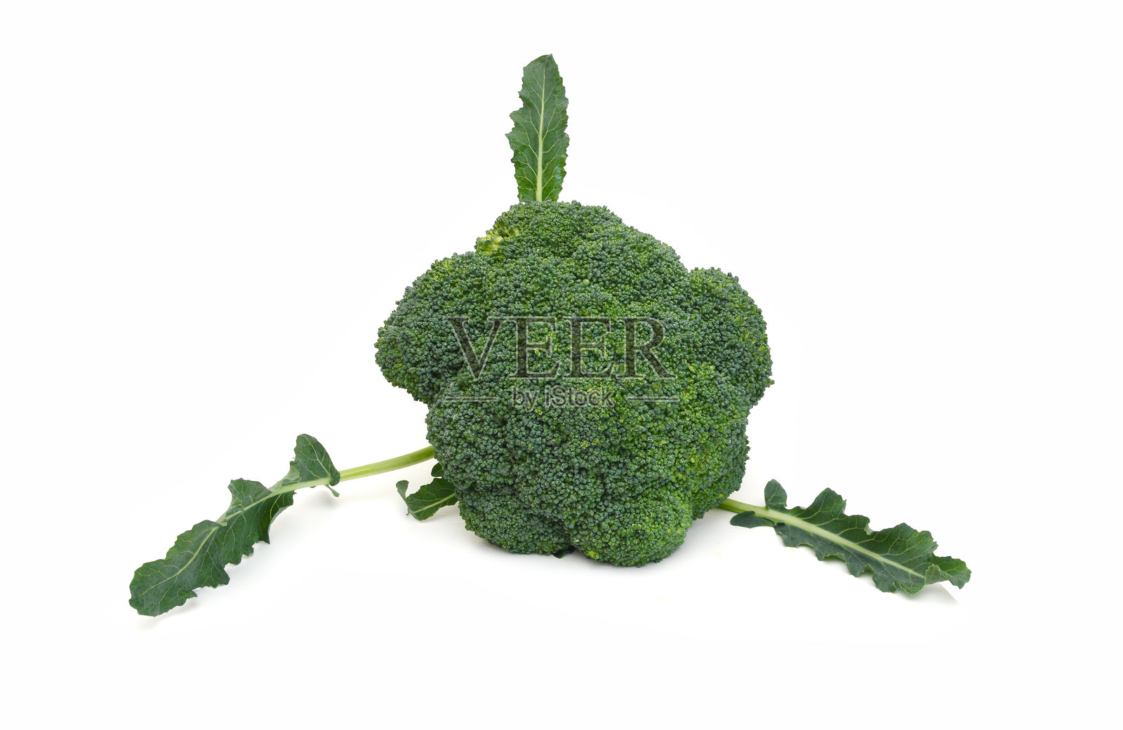 新鲜西兰花孤立在白色背景上照片摄影图片