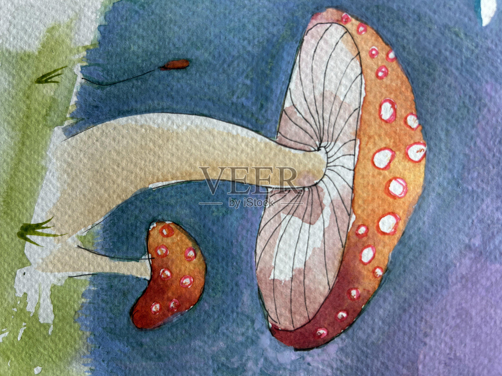 蘑菇插画图片素材