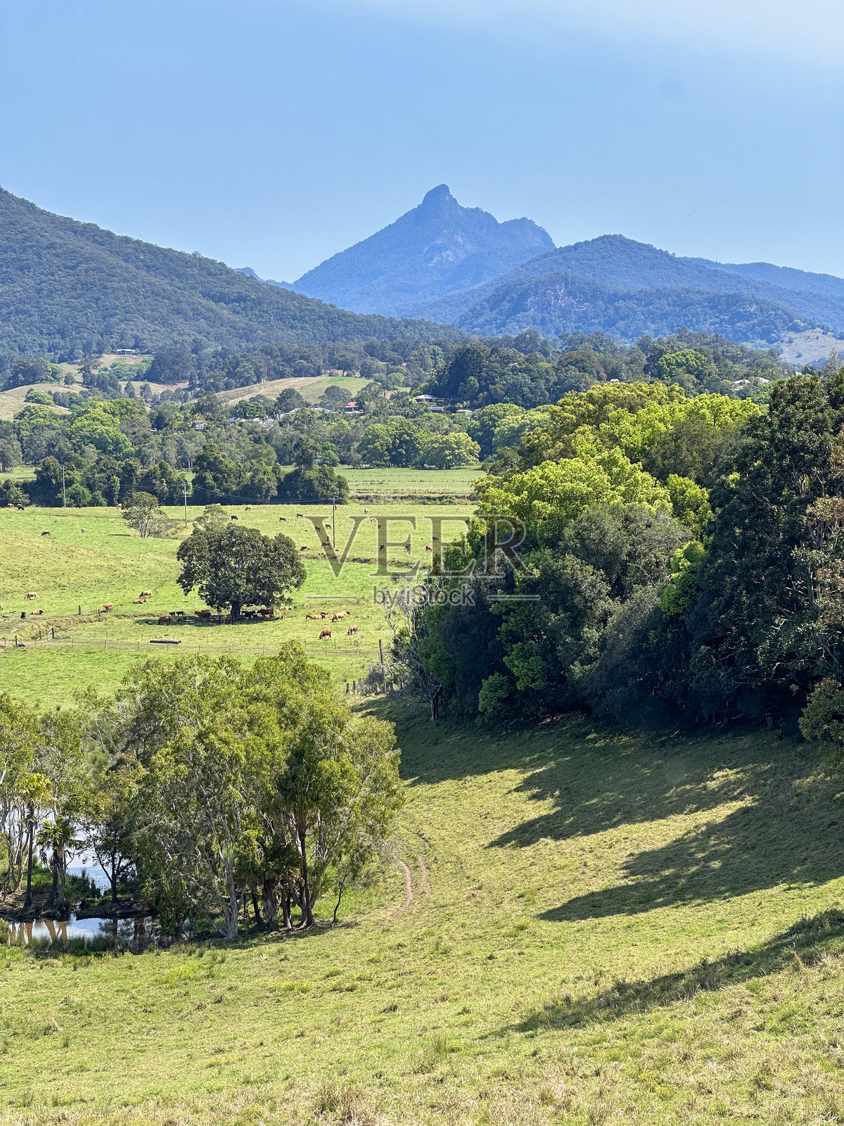 澳大利亚新南威尔士州穆伦比姆比的沃伦宾风景山丘景观照片摄影图片