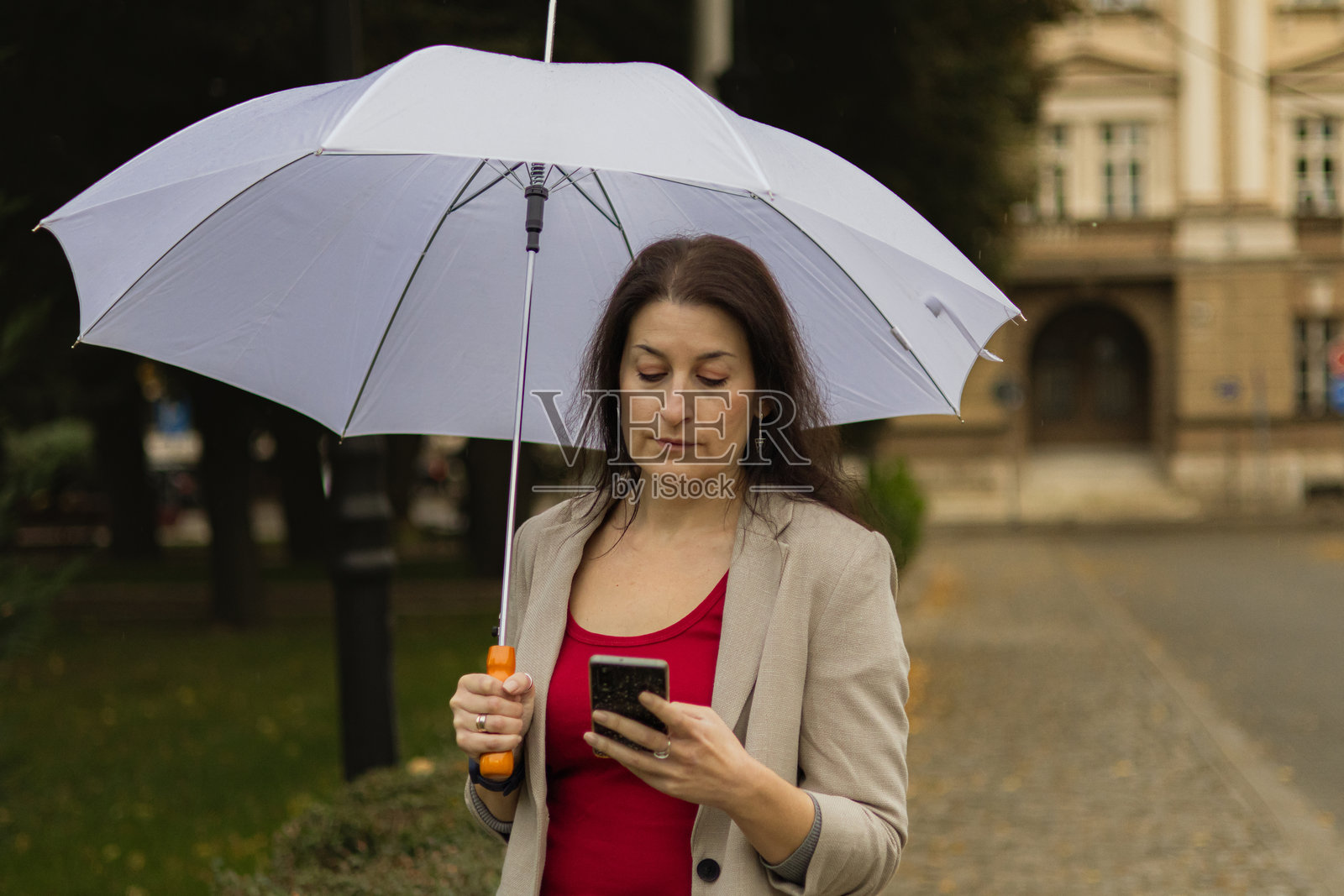 中年女商人在秋天的公共公园里，雨天使用手机进行电子银行或投资，手里还撑着伞。照片摄影图片