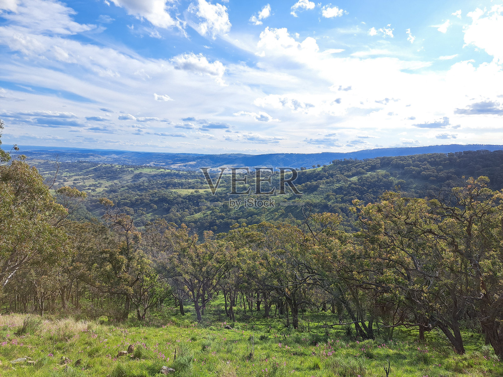 山谷 2照片摄影图片