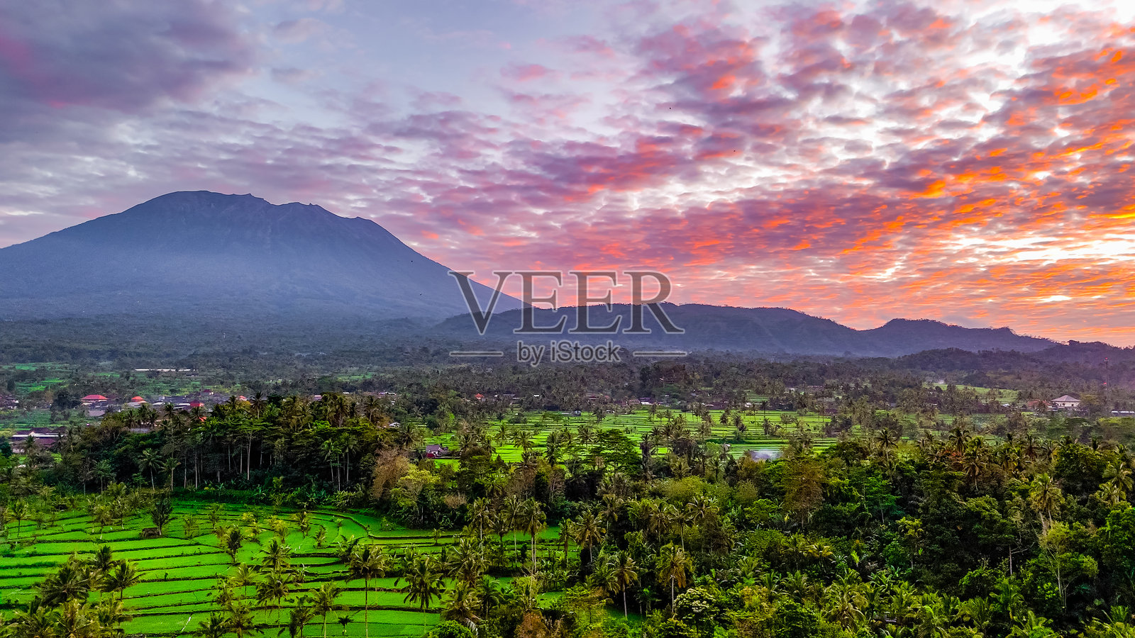 日出时分的阿贡山鸟瞰，阿贡火山与稻田的美丽景色，西德门谷的梯田鸟瞰图照片摄影图片