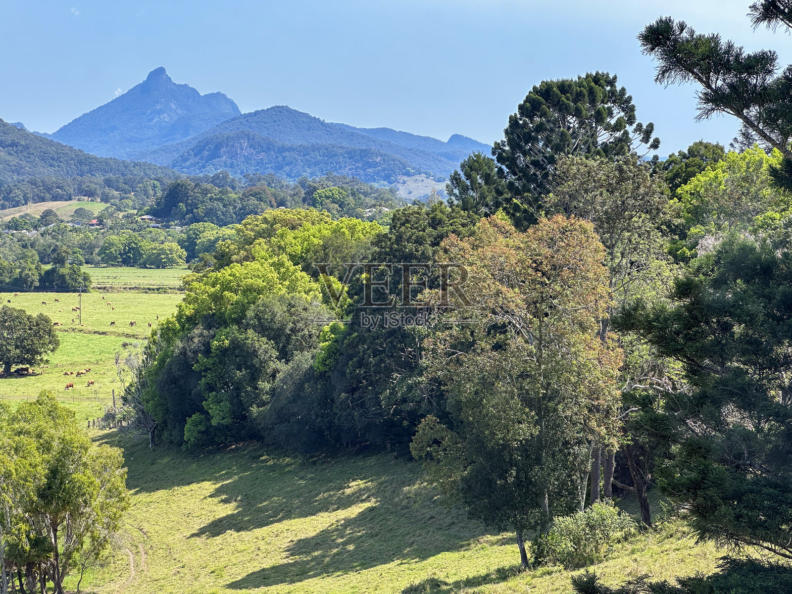 澳大利亚新南威尔士州穆伦比姆比的沃伦宾风景山丘景观照片摄影图片