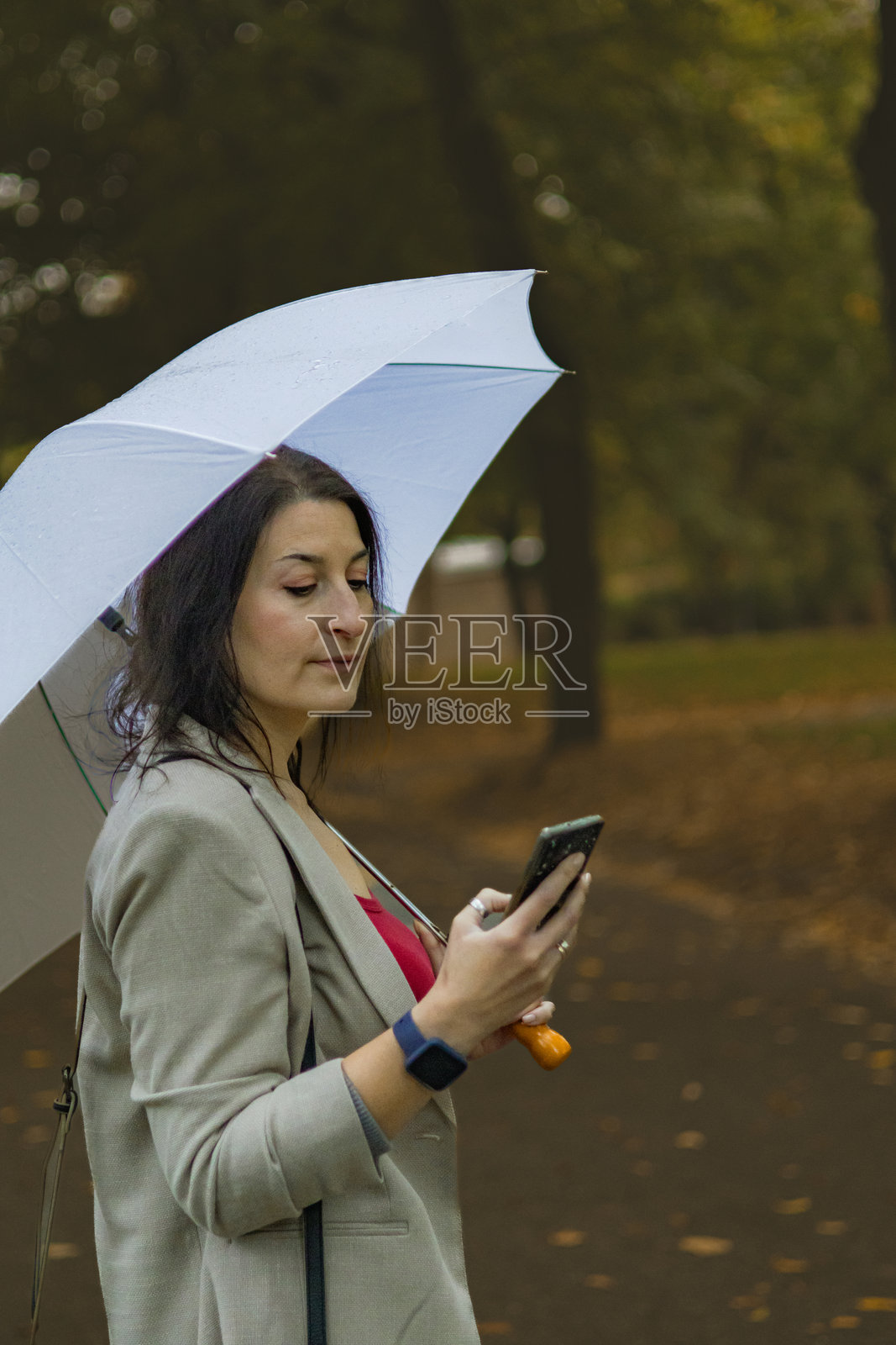 中年女商人在秋天的公共公园里，雨天使用手机进行电子银行或投资，手里还撑着伞。照片摄影图片