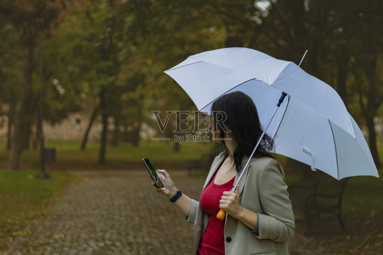 中年女商人在秋天的公共公园里，雨天使用手机进行电子银行或投资，手里还撑着伞。照片摄影图片