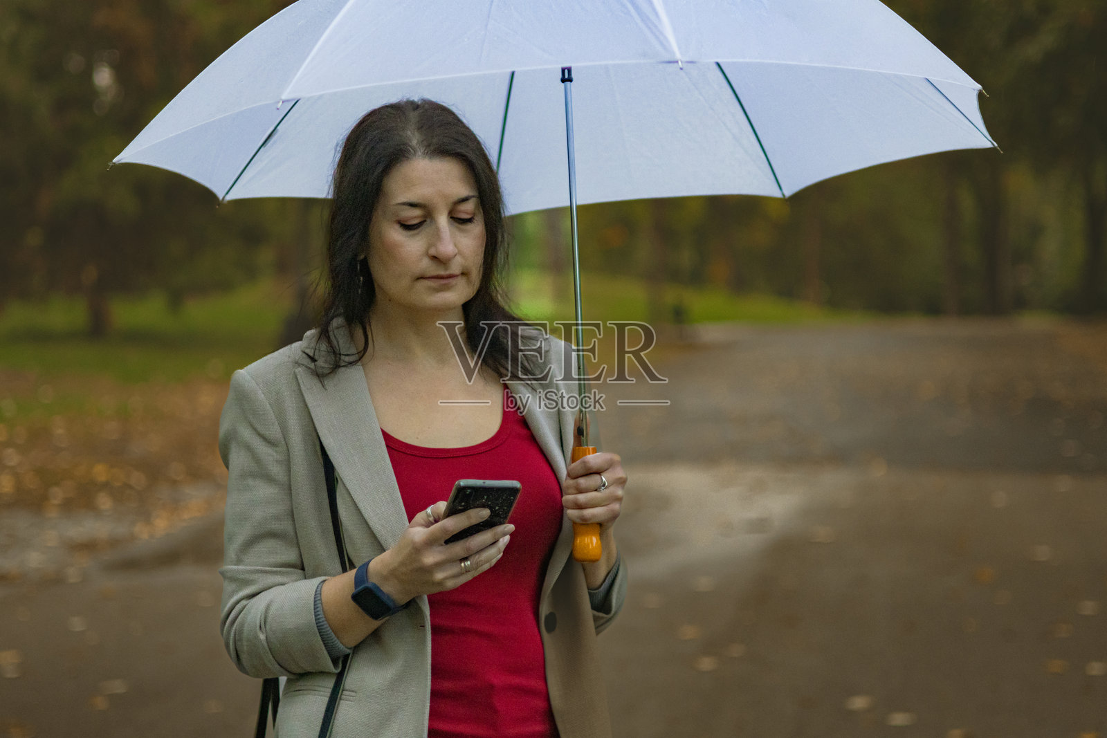 中年女商人在秋天的公共公园里，雨天使用手机进行电子银行或投资，手里还撑着伞。照片摄影图片