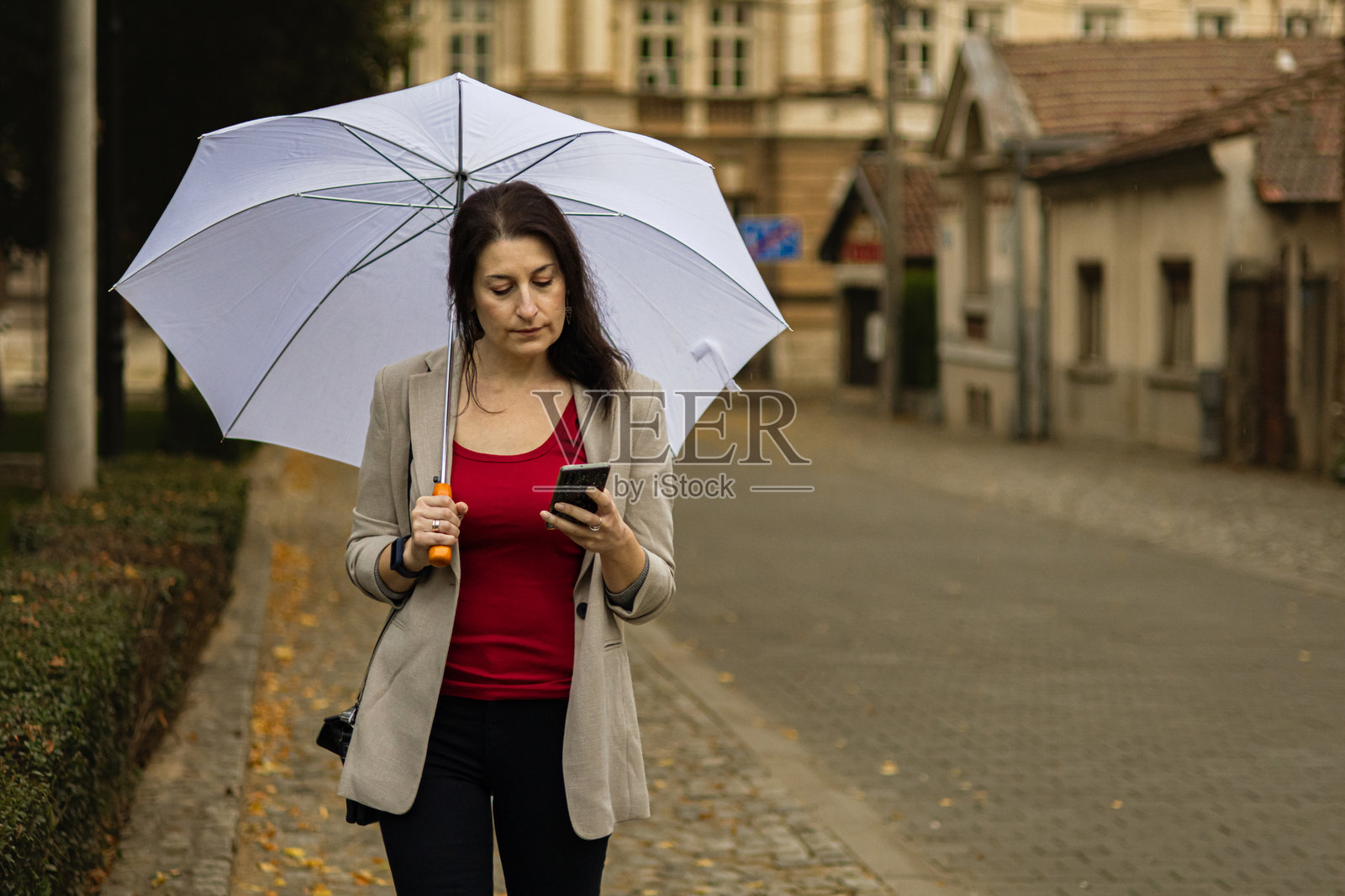中年女商人在秋天的公共公园里，雨天使用手机进行电子银行或投资，手里还撑着伞。照片摄影图片
