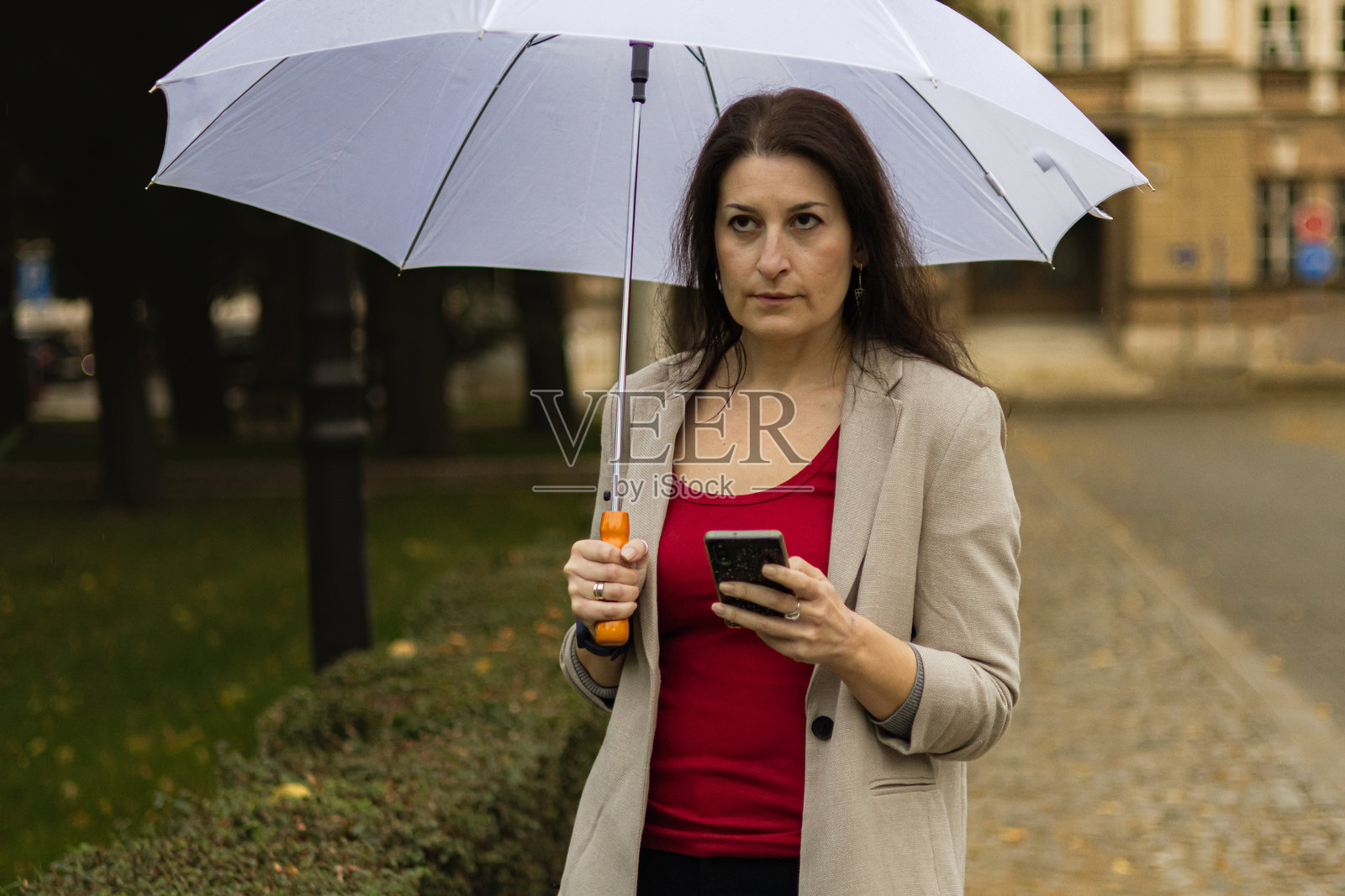 中年女商人在秋天的公共公园里，雨天使用手机进行电子银行或投资，手里还撑着伞。照片摄影图片
