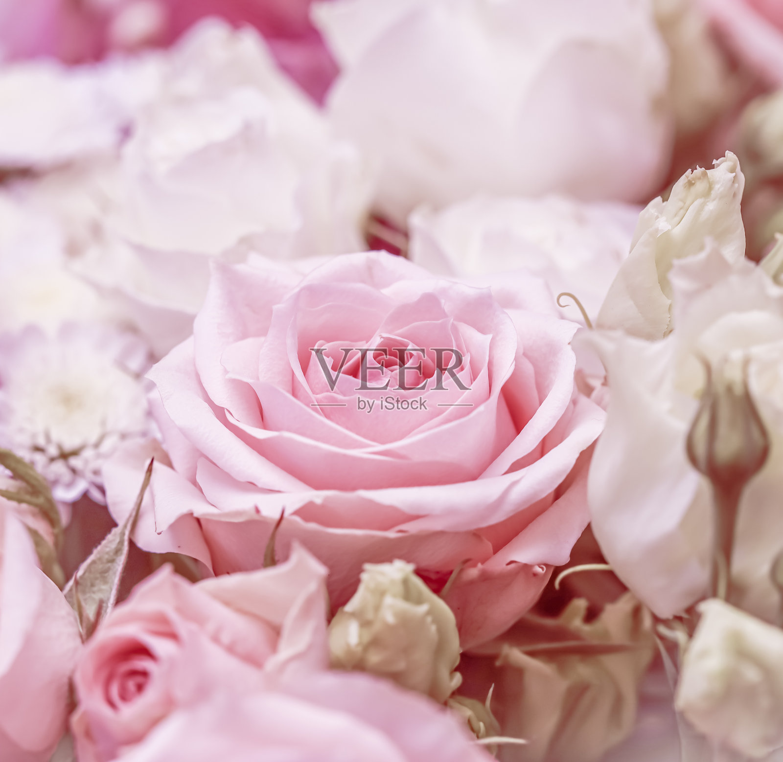 粉色玫瑰花束中的花卉装饰。装饰性玫瑰和观赏植物。照片摄影图片