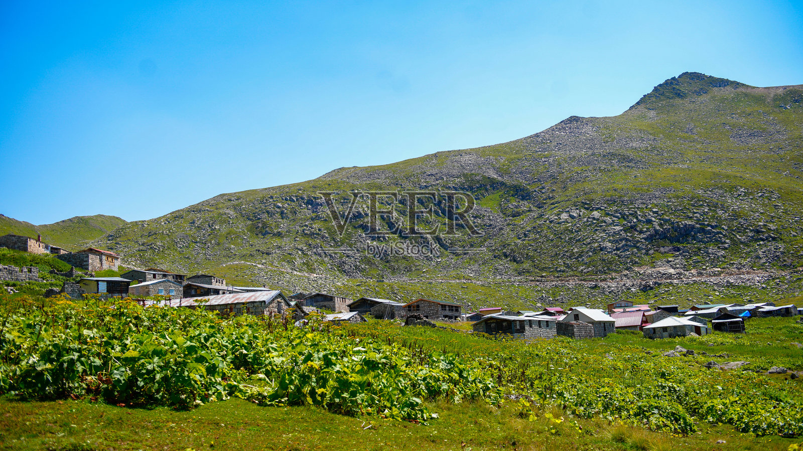 萨米斯塔尔照片摄影图片