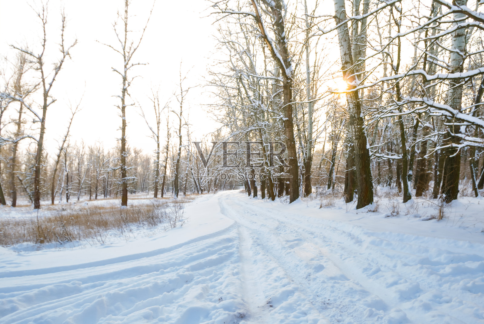 阳光明媚的冬季雪覆盖森林中的乡村道路照片摄影图片