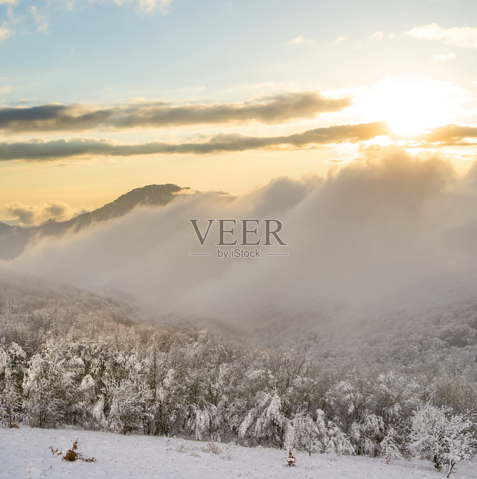冬季山谷中的雪覆盖森林在戏剧性的日落下照片摄影图片