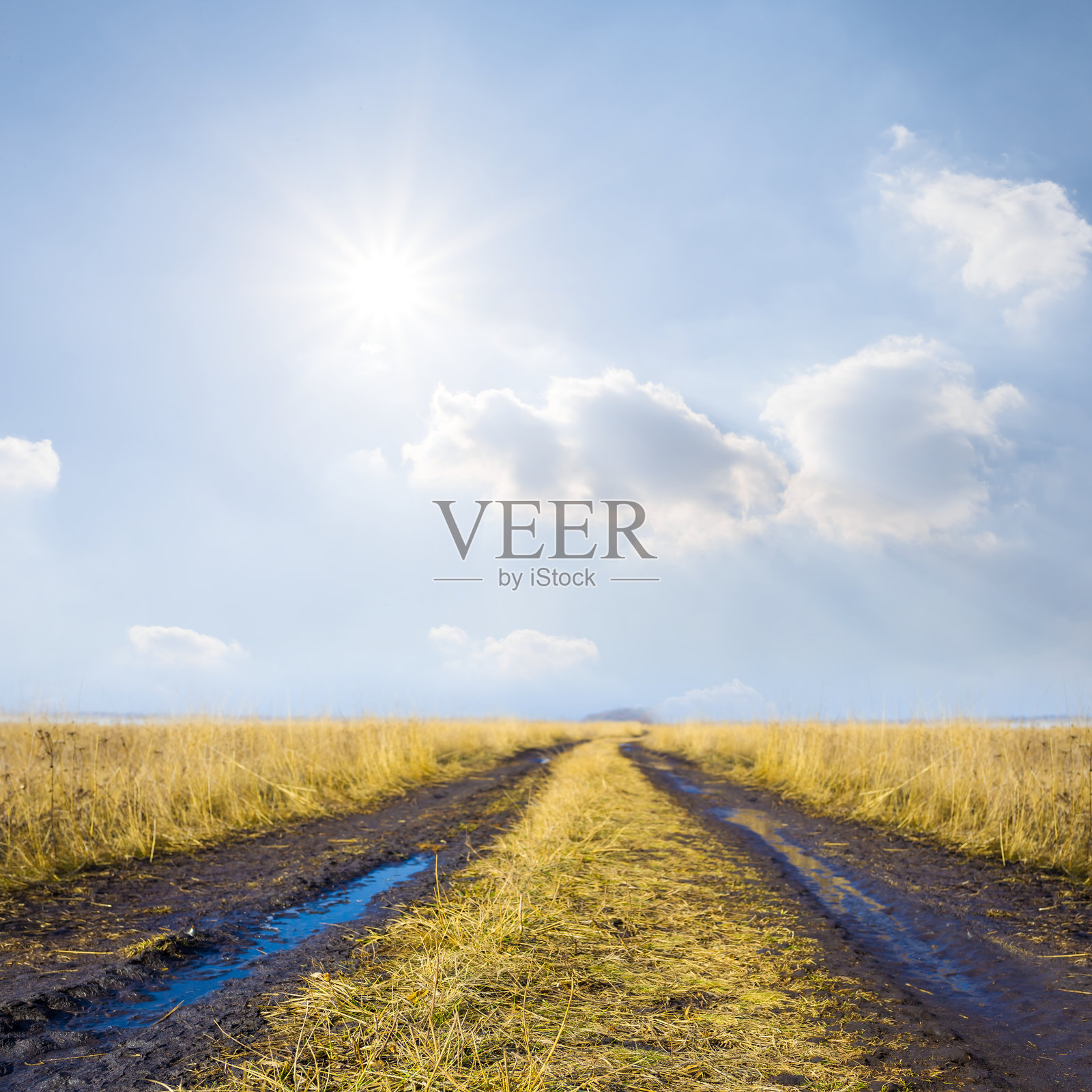 阳光明媚的日子里，草原间泥泞的土路照片摄影图片