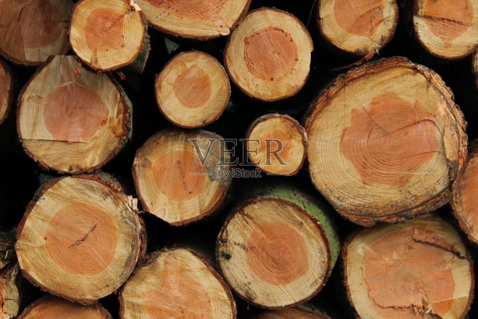 一堆切好的树干照片摄影图片