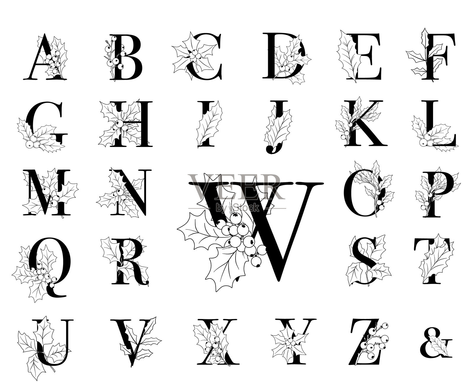 带有线条艺术冬青叶和浆果的矢量花卉圣诞字母集，植物字母表，森林婚礼设计插画图片素材