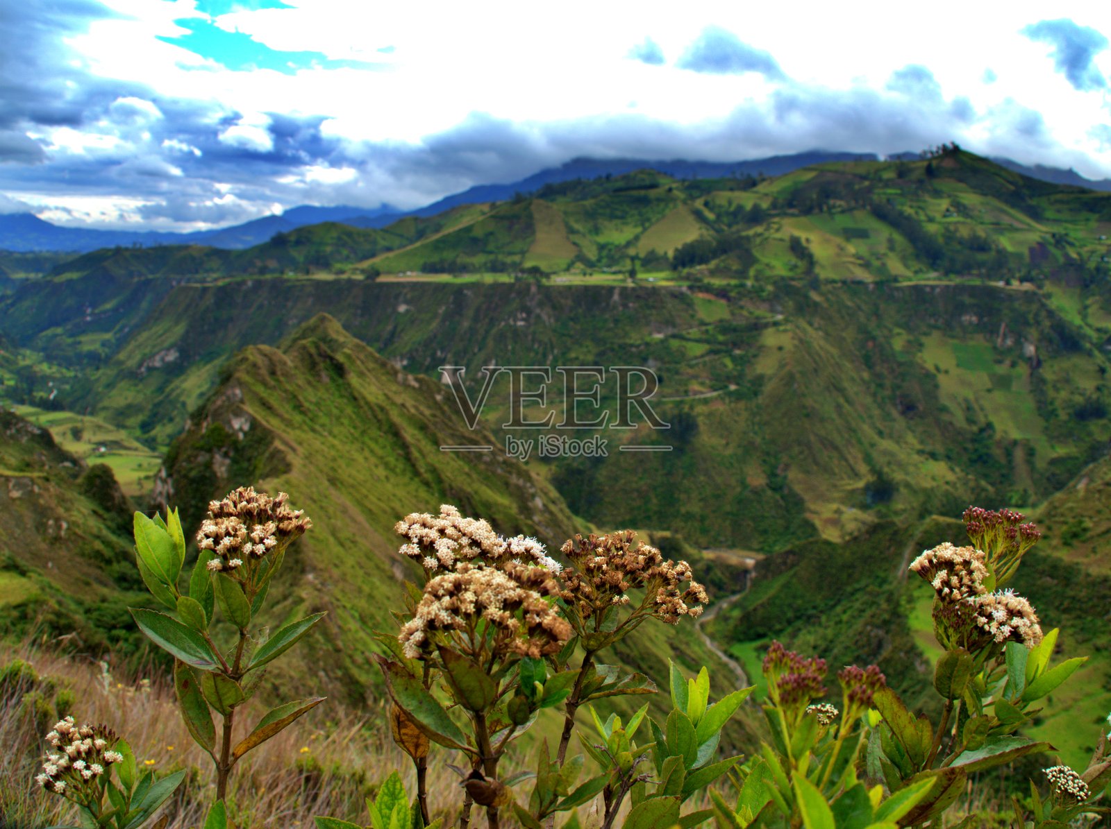 霓虹高地照片摄影图片