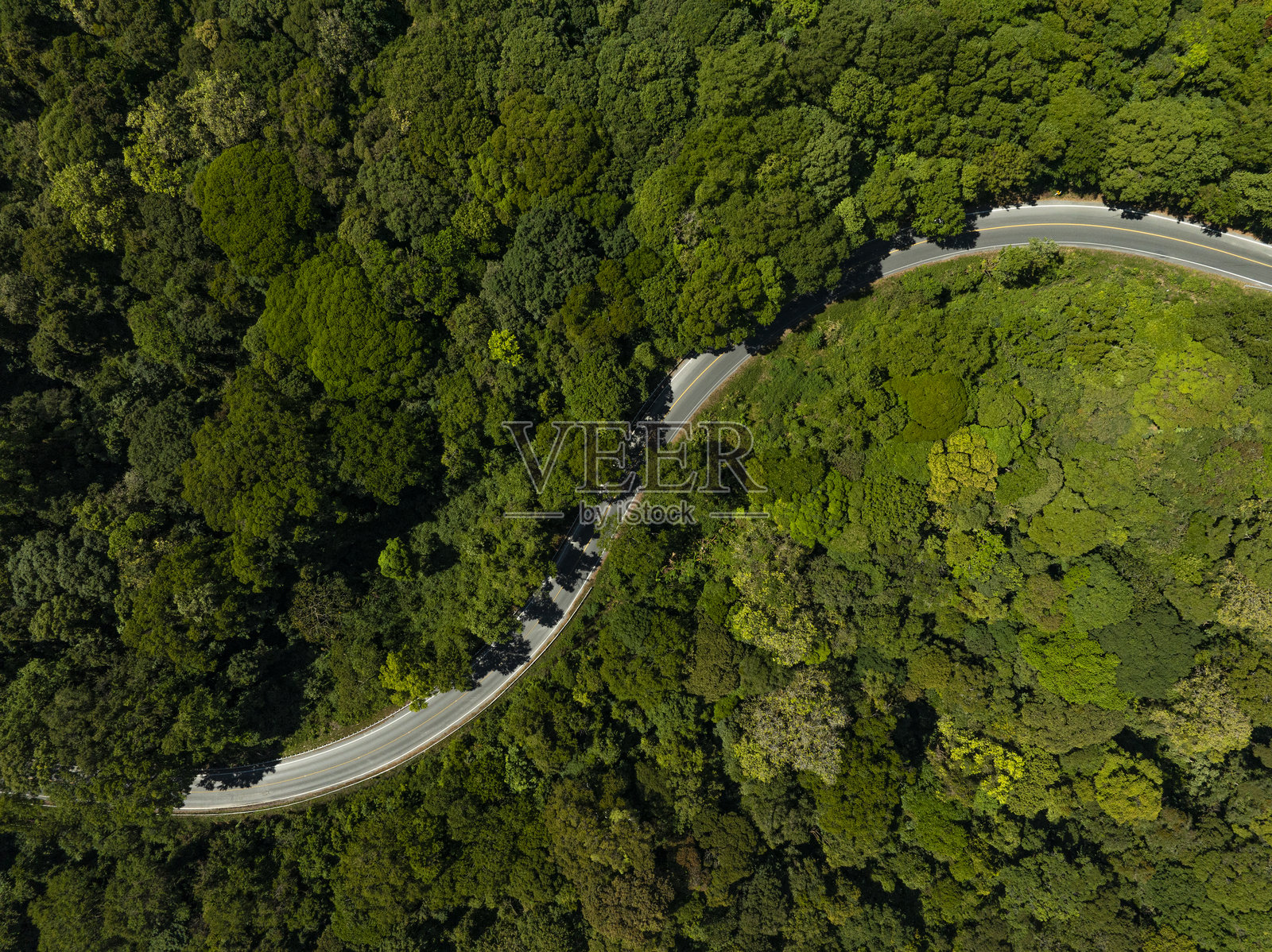 在深雨林中的乡村道路上行驶的汽车，俯瞰绿色树木的森林景观，森林中电动车在沥青道路上行驶，背景是绿色树木的森林。照片摄影图片
