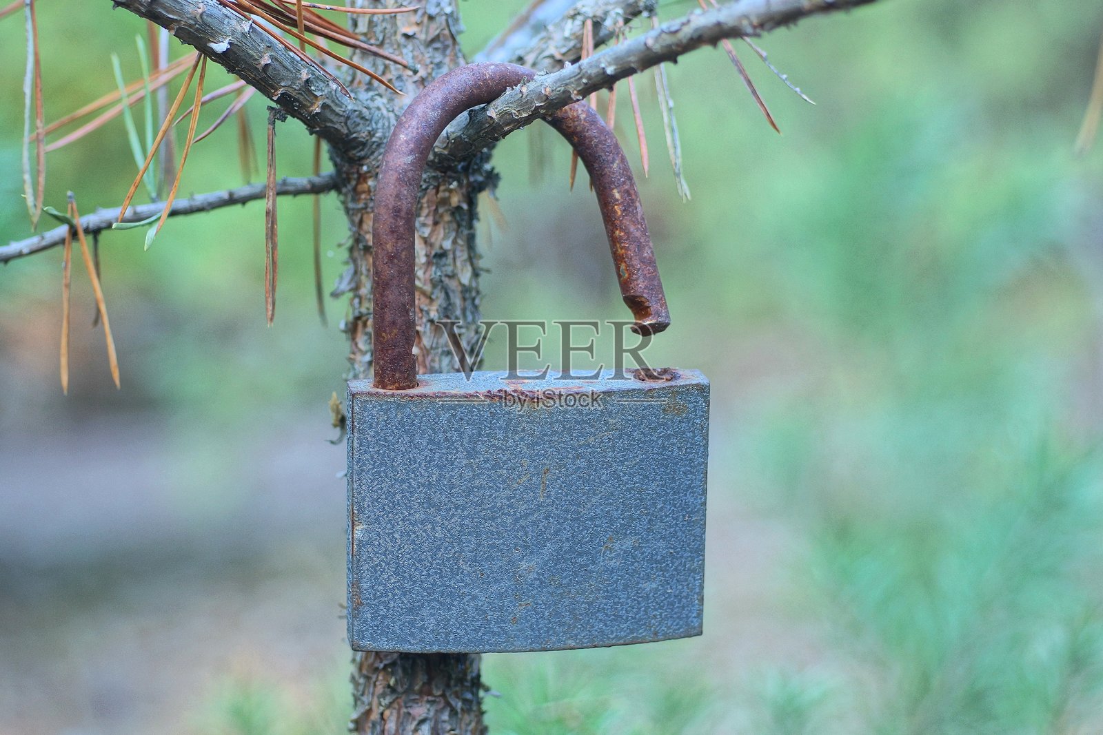 一个大旧的灰色铁挂锁，带有棕色生锈的锁链照片摄影图片