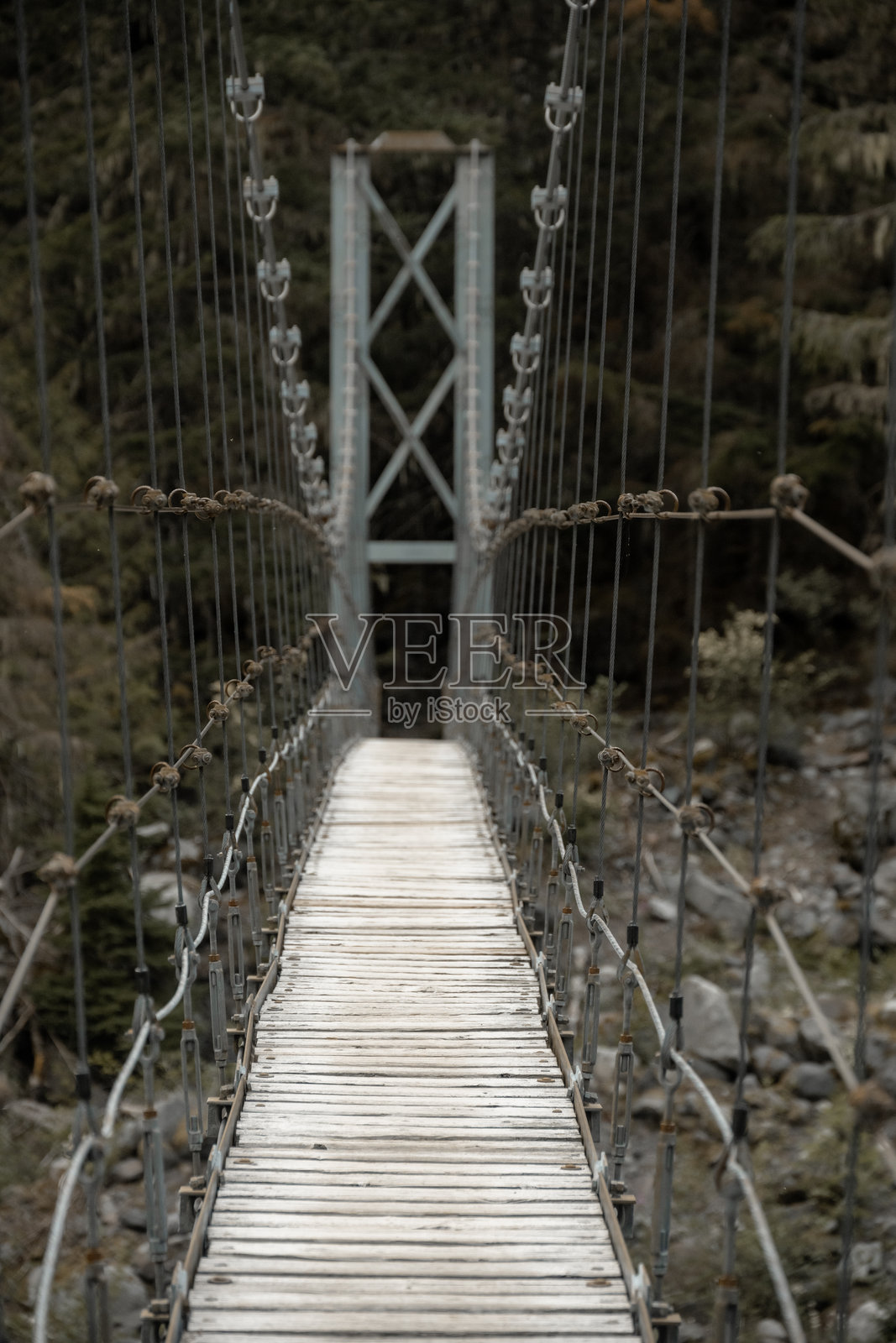 碳河悬索桥跨越雷尼尔山的横断面照片摄影图片