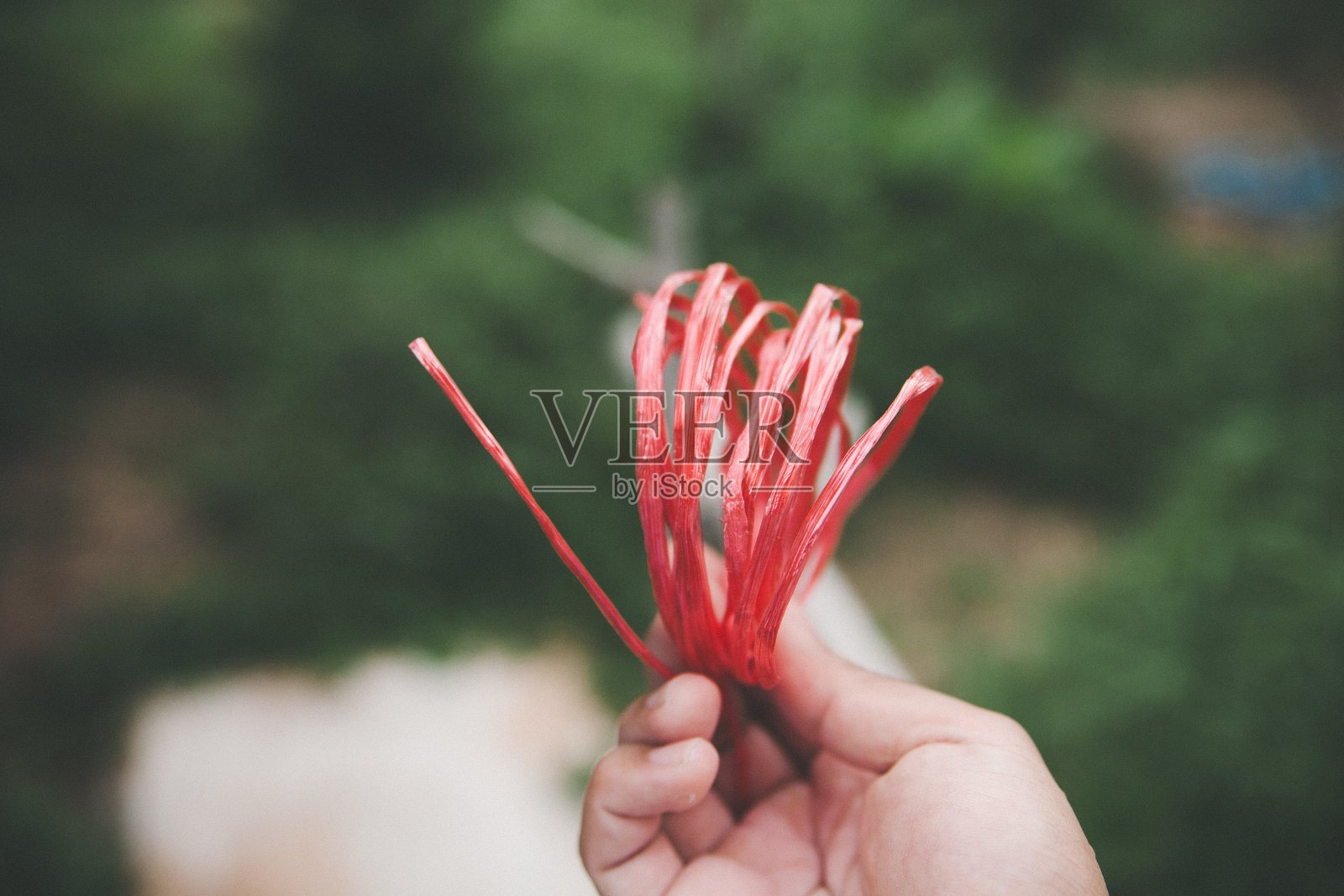 塑料绳照片摄影图片