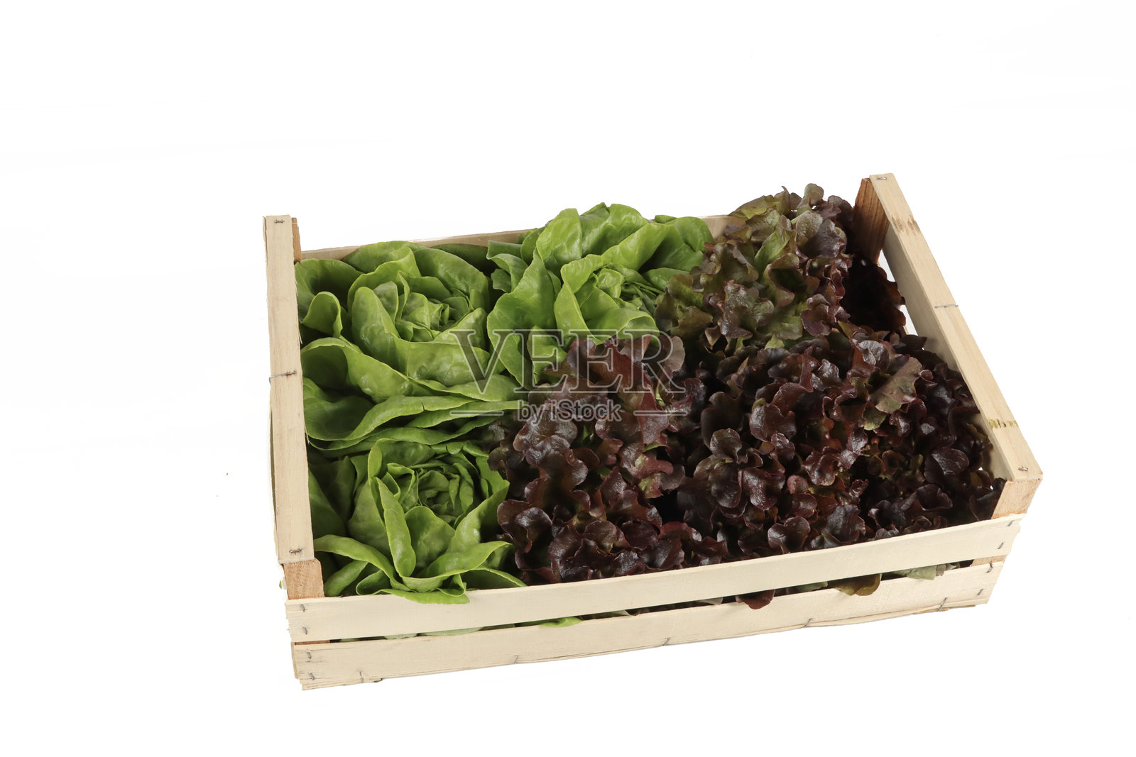 生菜照片摄影图片