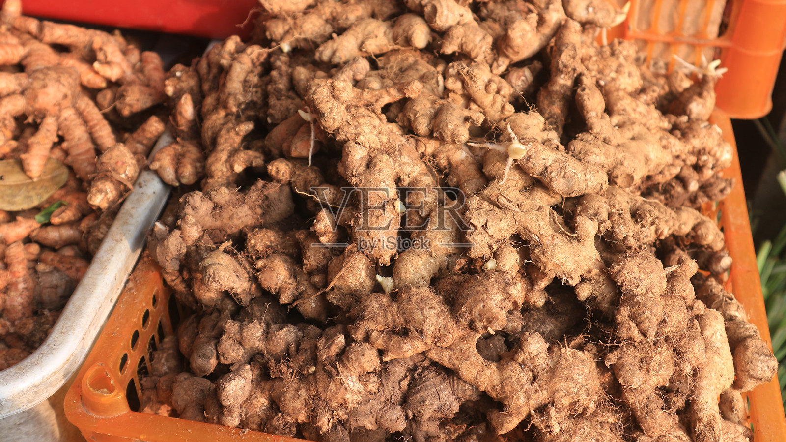 新鲜香气扑鼻的姜根特写，放在藤编篮子里，出售于印度尼西亚传统市场照片摄影图片